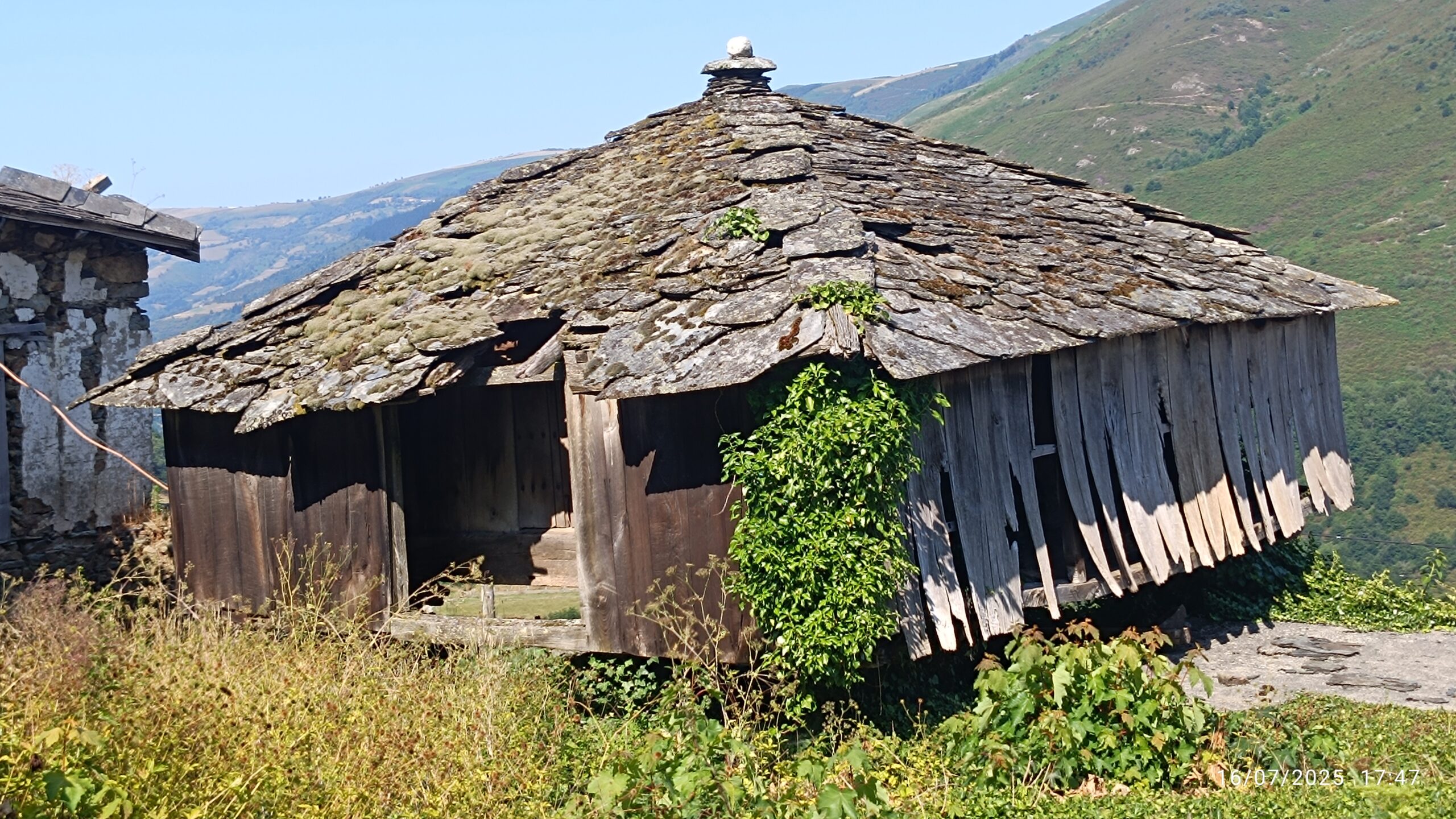 semeya-16.07.2025-4-horru.01.Larna-Cangas-