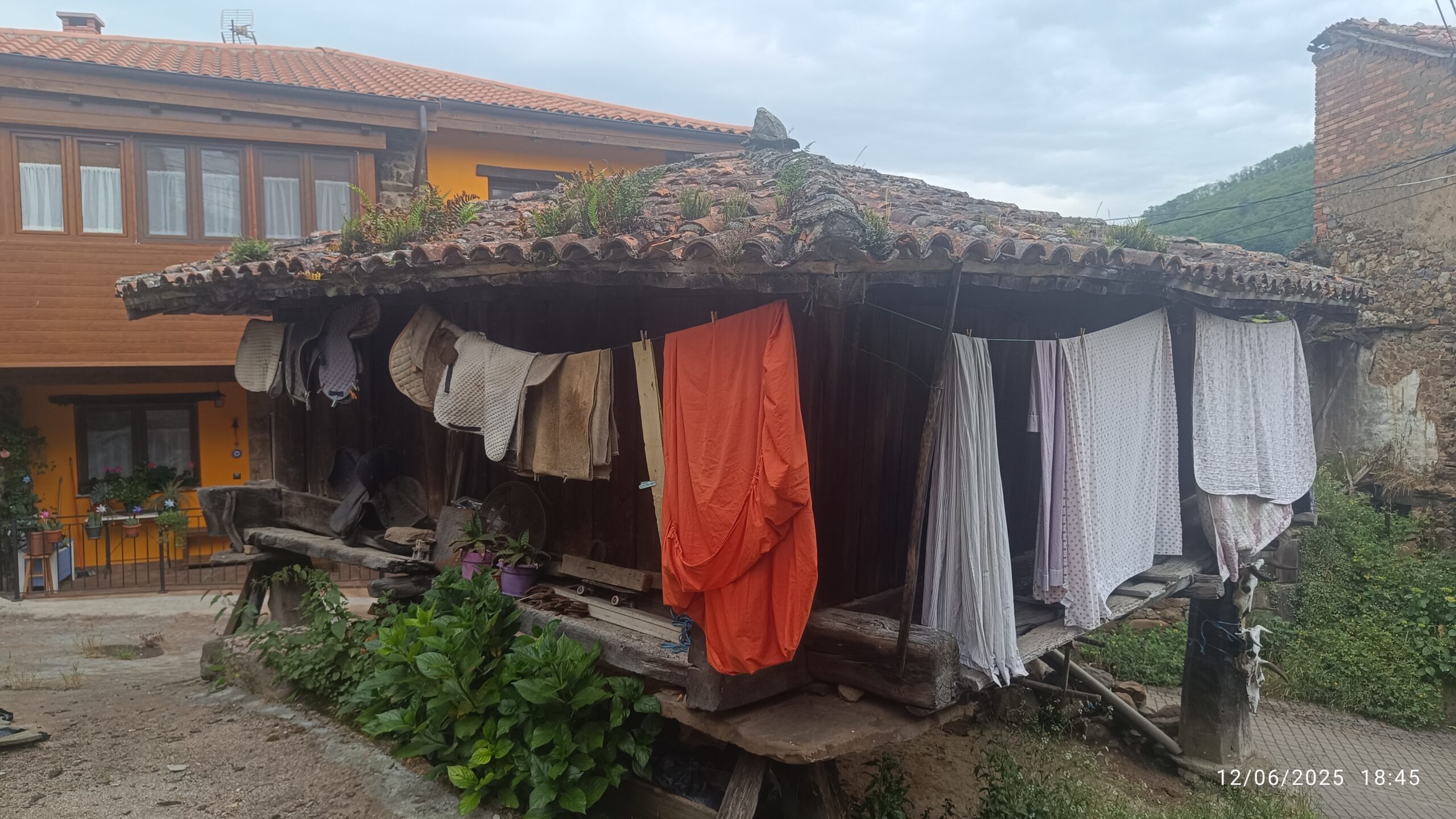 semeya-2-horru.02.Felguera-Riosa-12.06.2025