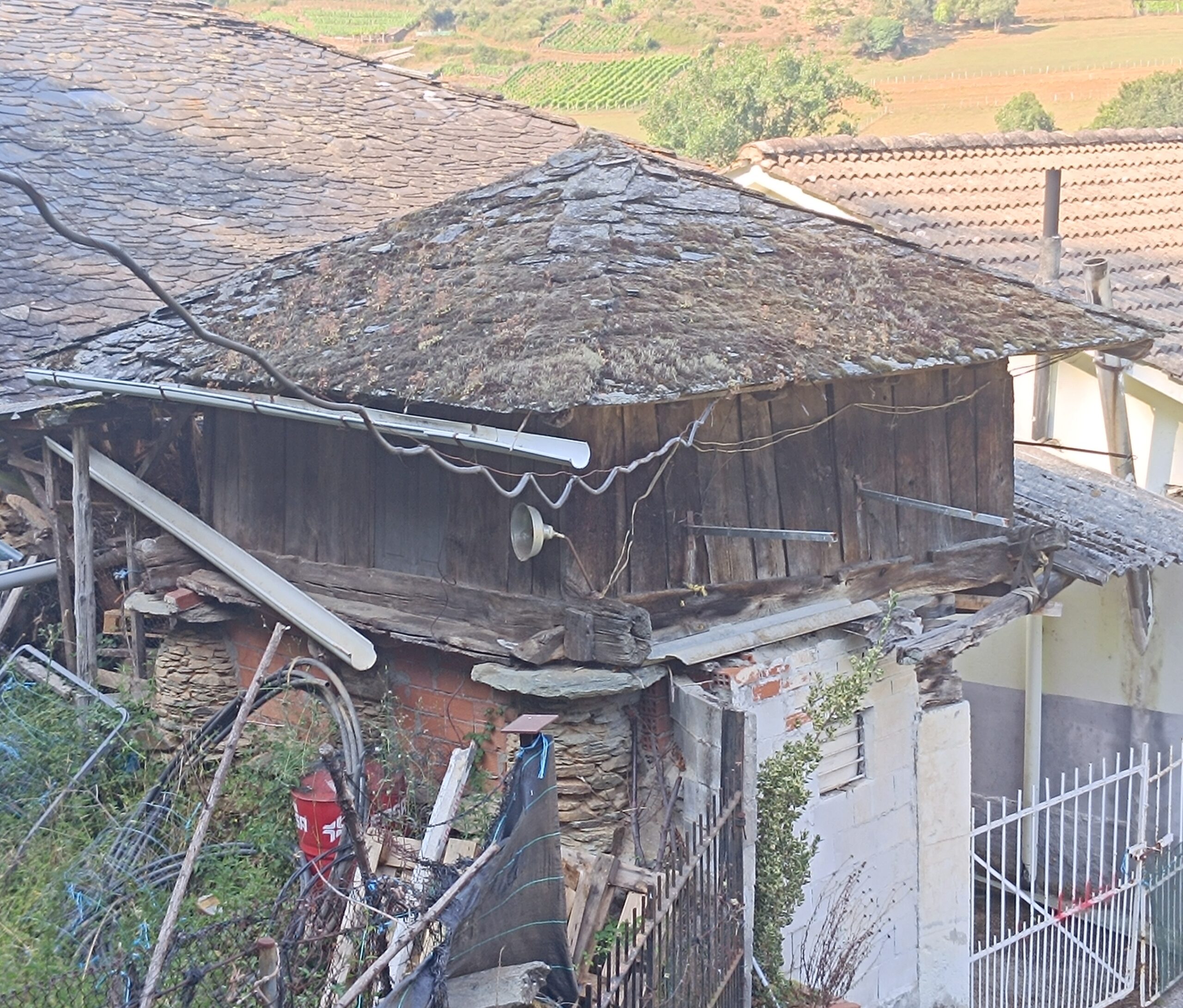 semeya-2-horru.Cibuyu-Cangas-16.07.2025-2700×2300