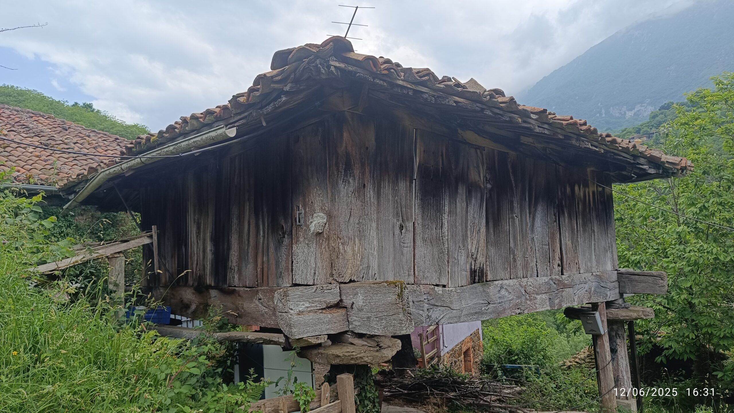 semeya-3-horru.ElCabal-Riosa-12.06.2025