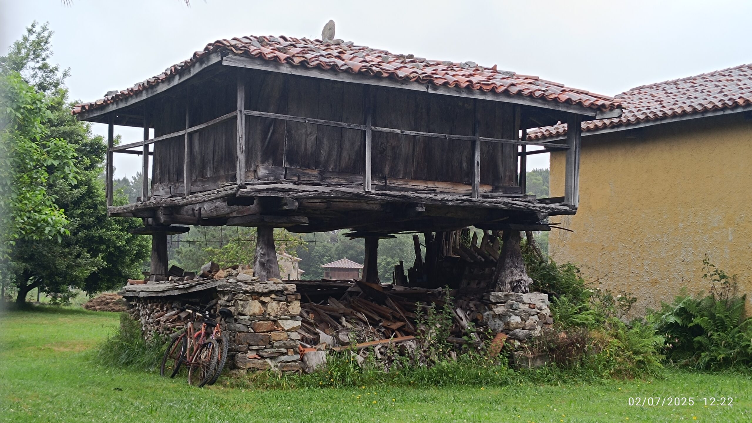 semeya-3-horru.LaTeyera-Cuideiru-02.07.2025