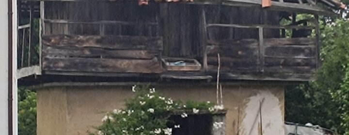 semeya-3-horru.Salamir-Cuideiru-02.07.2025-2500×2000