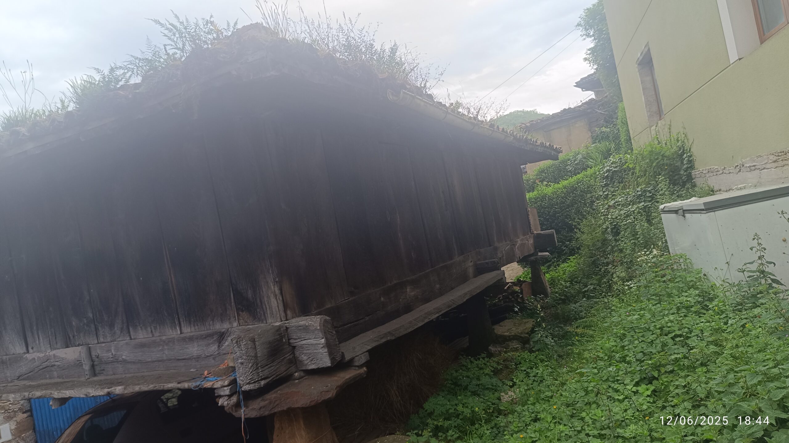 semeya-3-panera.01.Felguera-Riosa-12.06.2025