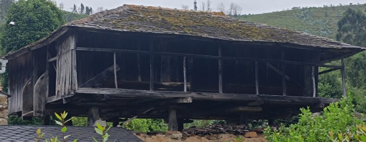 semeya-3-panera.02.Viḷḷanueva-Valdés-02.07.2025-2300×1800