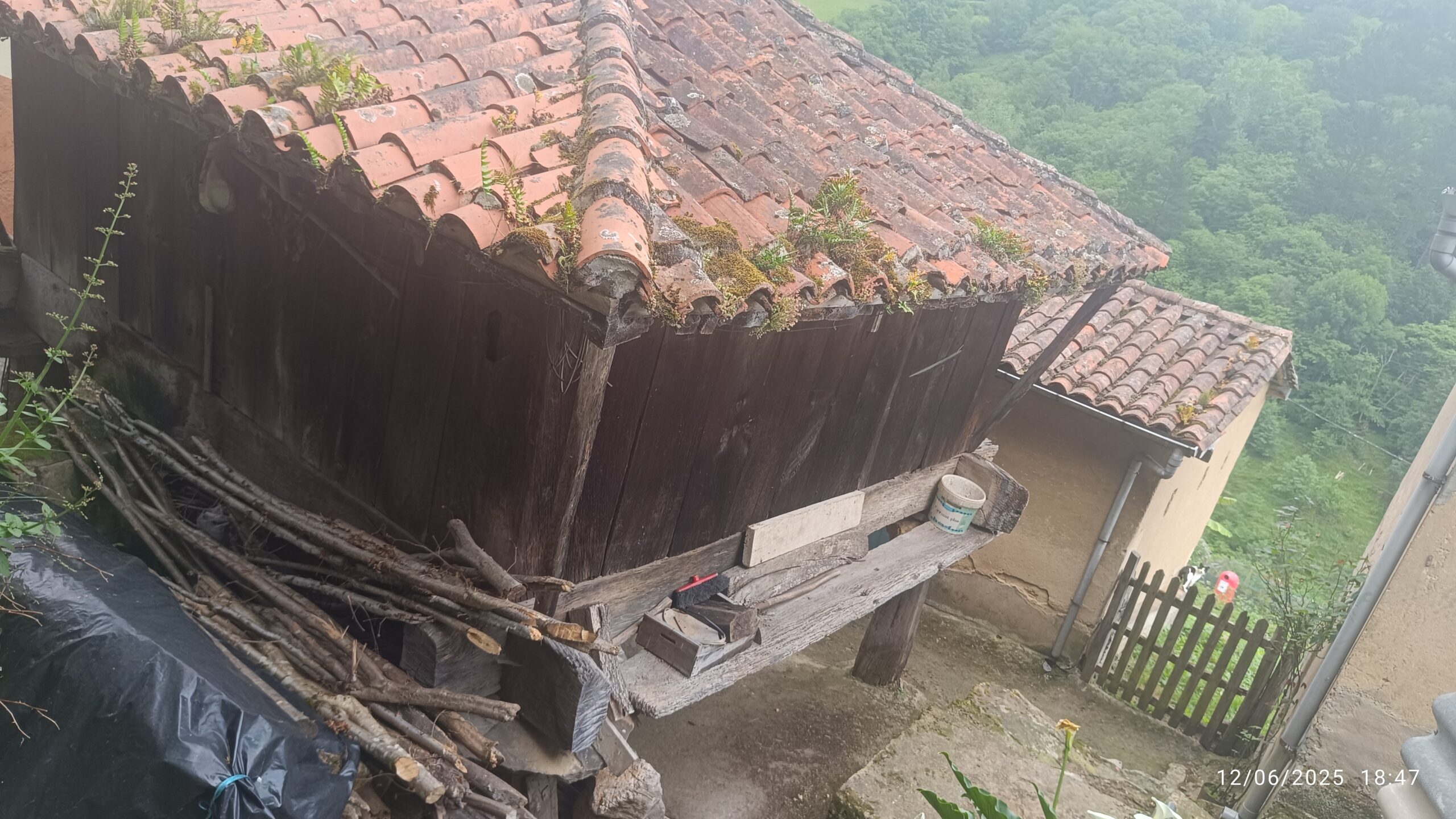 semeya-4-horru.03-Felguera-Riosa-12.06.2025