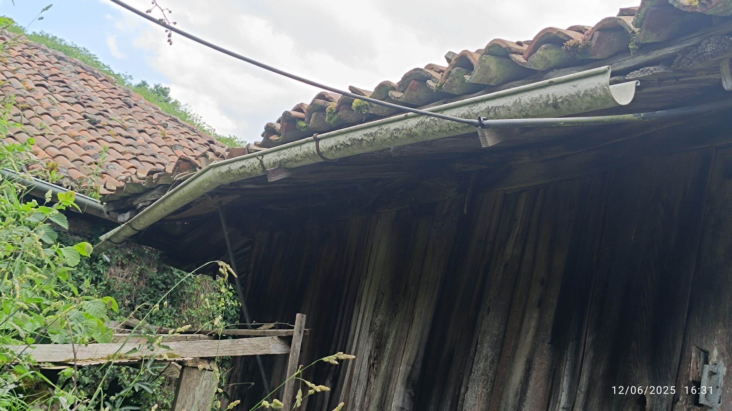 semeya-4-horru.ElCabal-Riosa-12.06.2025