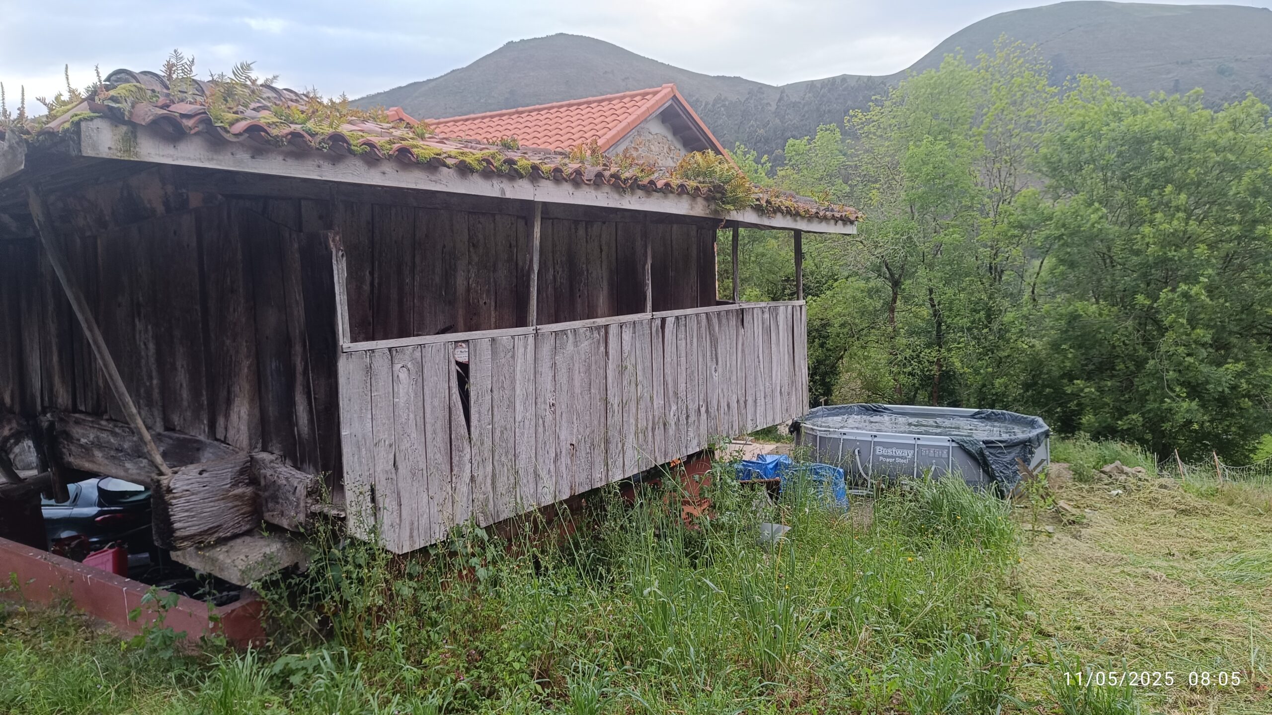 semeya-4-horru.LaCalea-LaPeral-Illas-11.05.2025