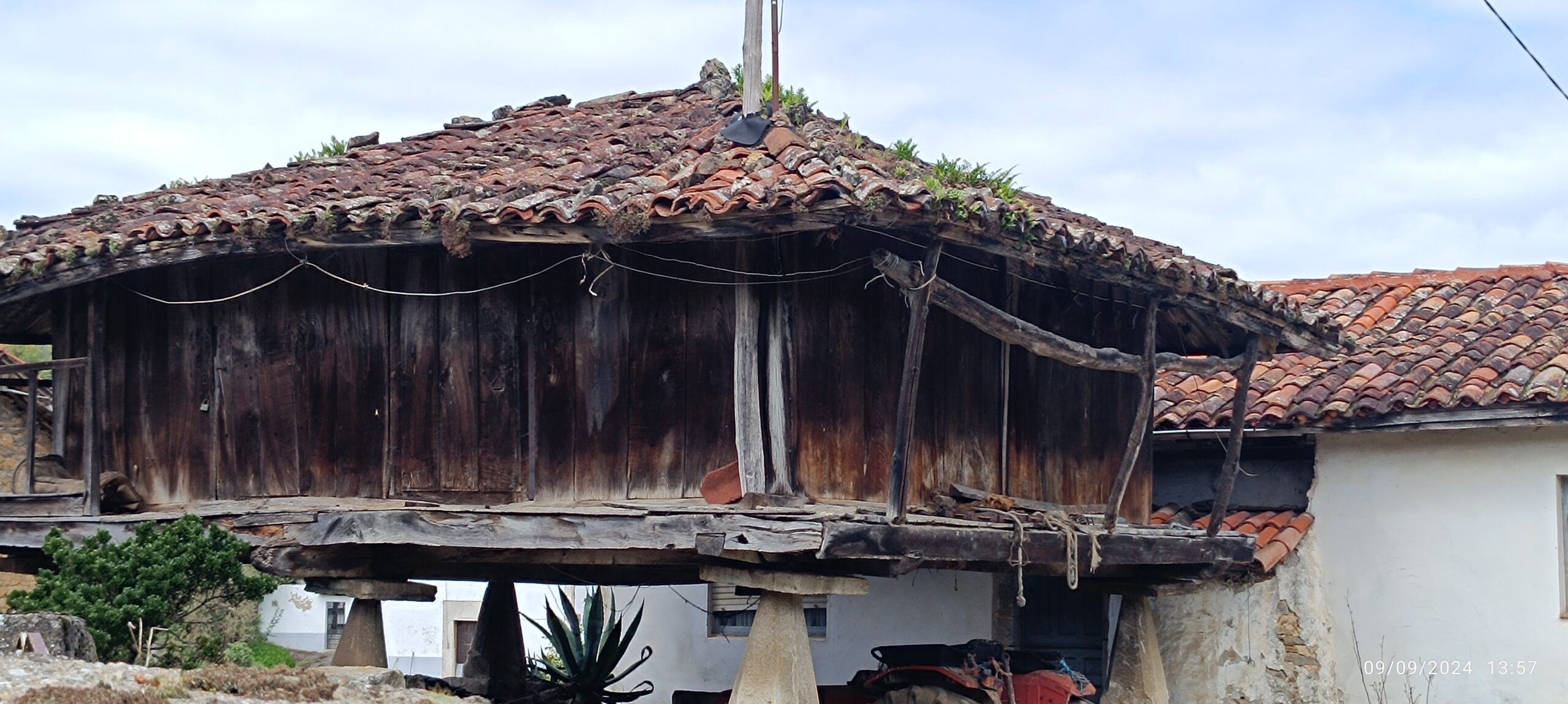 semeya-4-horru.Restiellu-Grau-09.09.2024