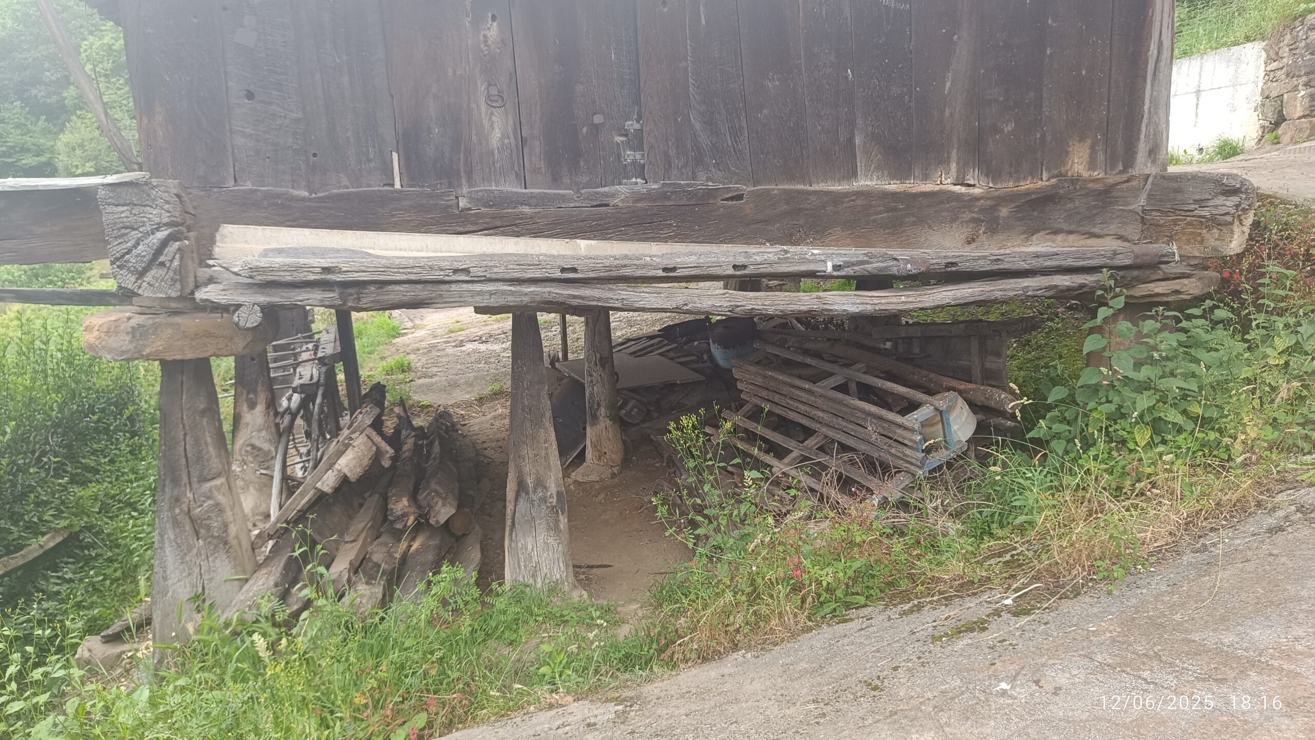 semeya-5-horru.02.Murieḷḷos-Riosa-12.06.2025