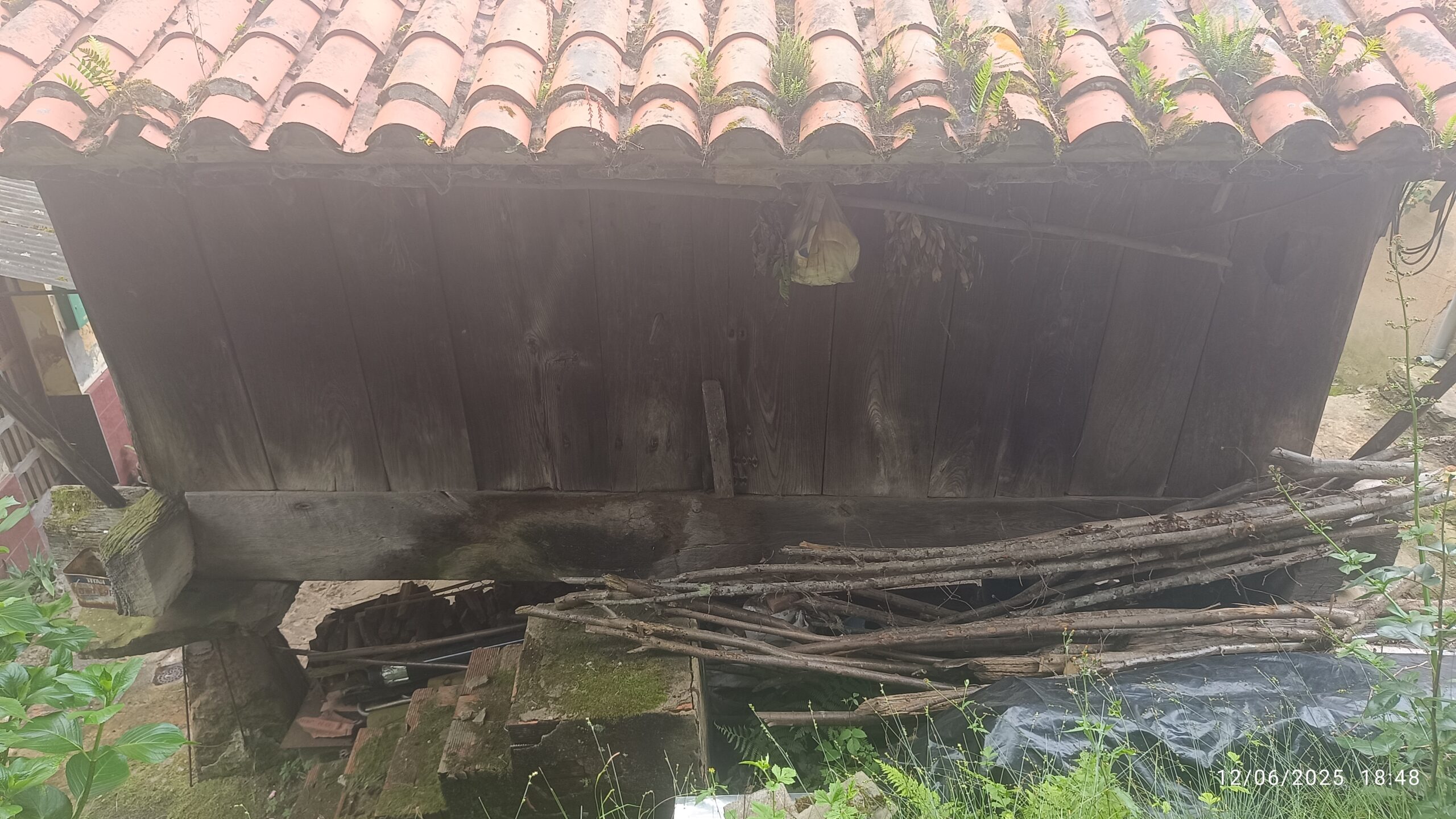 semeya-5-horru.03-Felguera-Riosa-12.06.2025