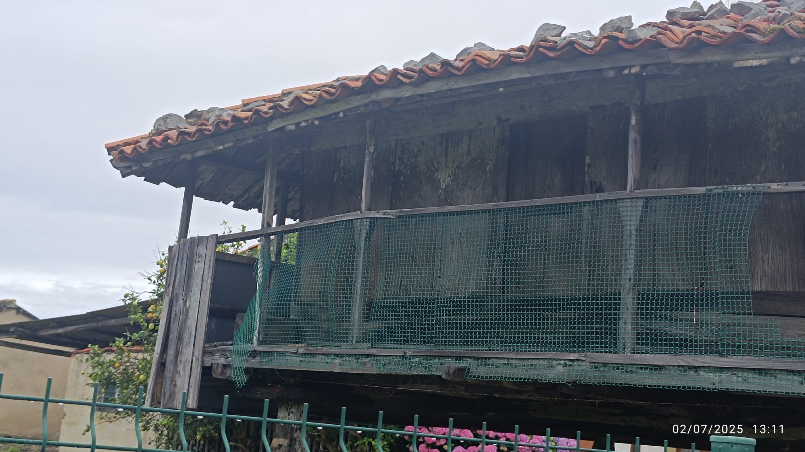 semeya-5-horru.03.Ouviñana-Cuideiru-02.07.2025