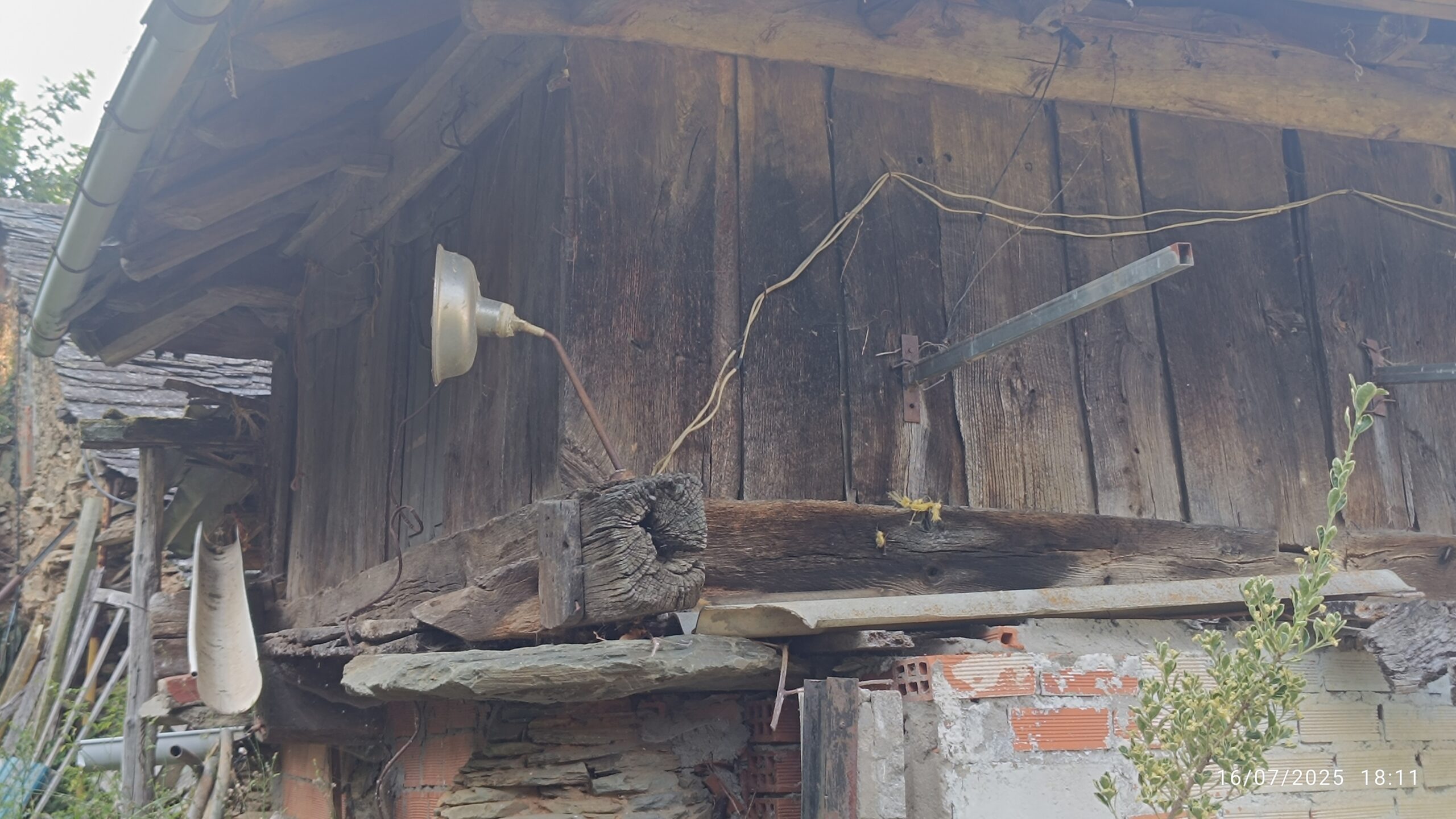 semeya-5-horru.Cibuyu-Cangas-16.07.2025