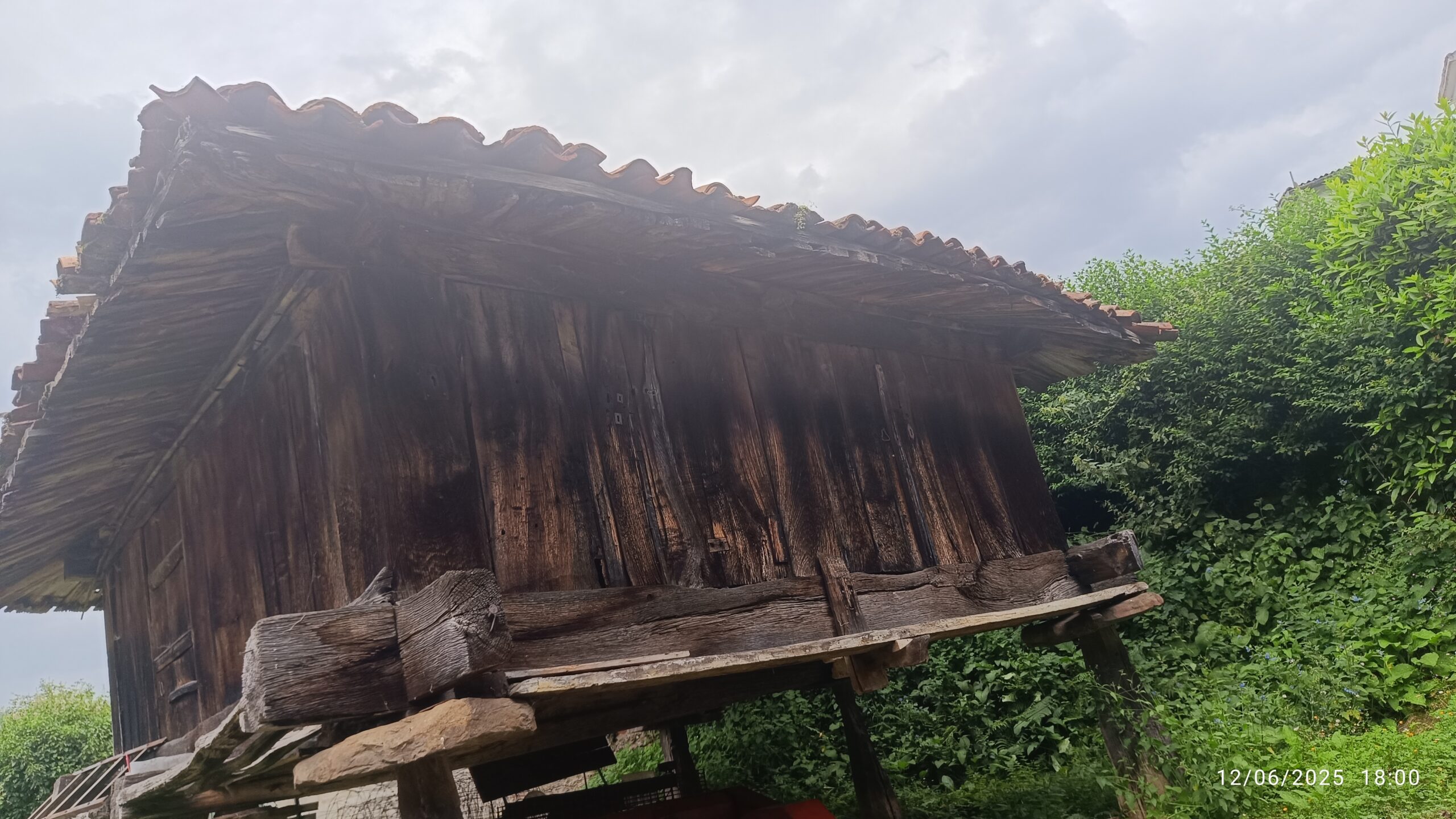 semeya-5-horru.ElCoḷḷéu-Riosa-12.06.2025