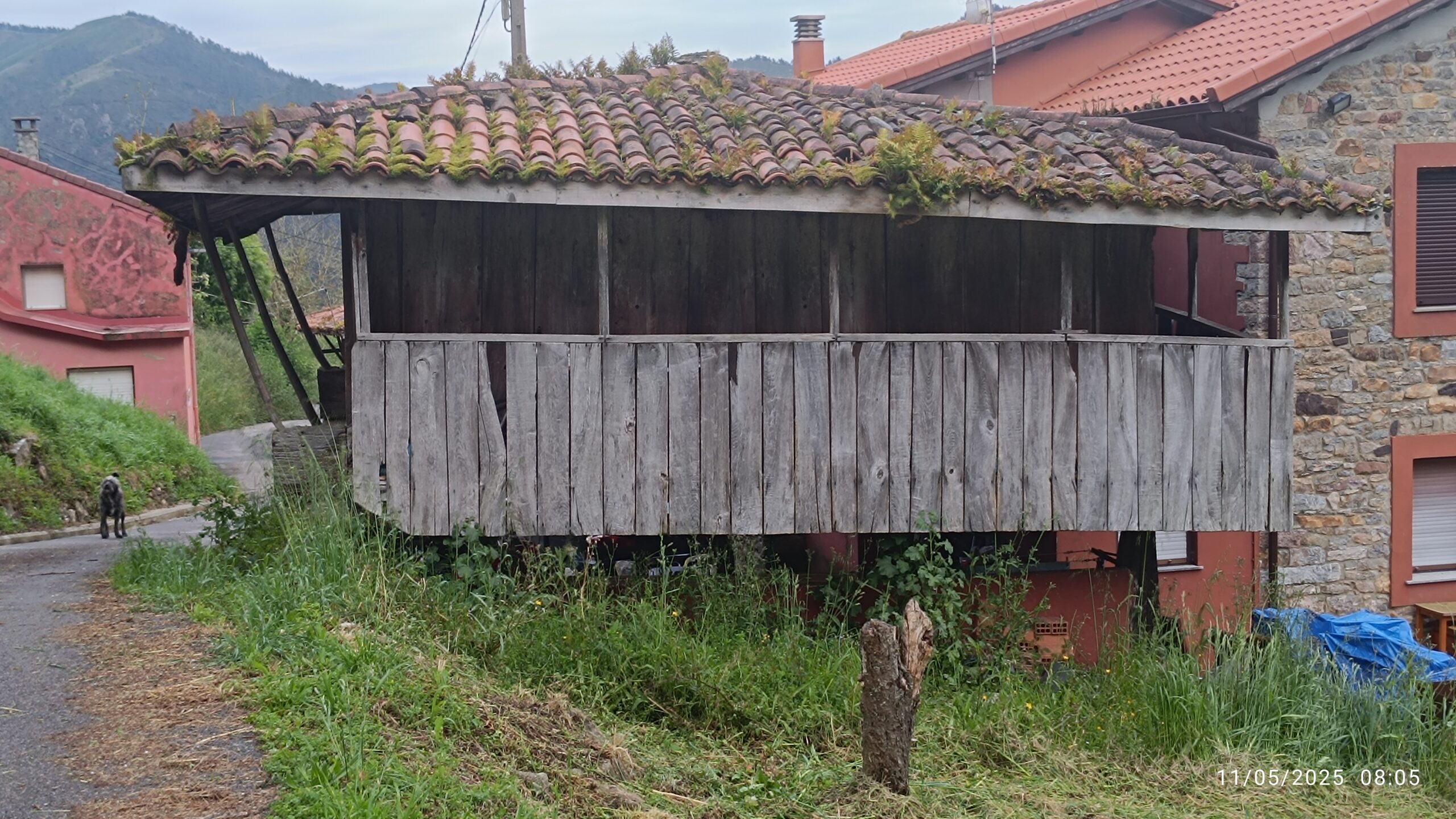 semeya-5-horru.LaCalea-LaPeral-Illas-11.05.2025