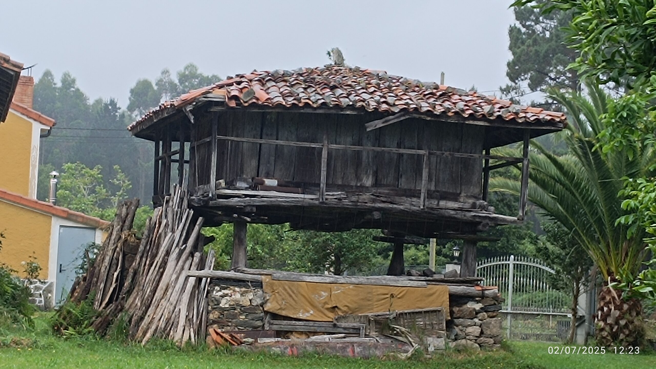 semeya-5-horru.LaTeyera-Cuideiru-02.07.2025