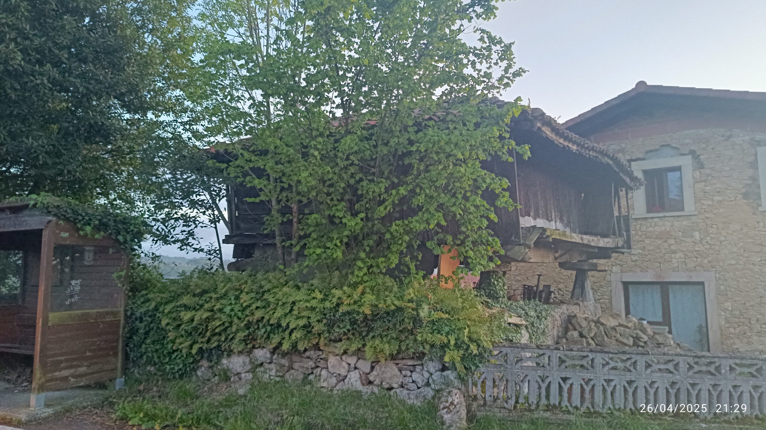 semeya-5-horru.Lliceñes-Siero-26.04.2025