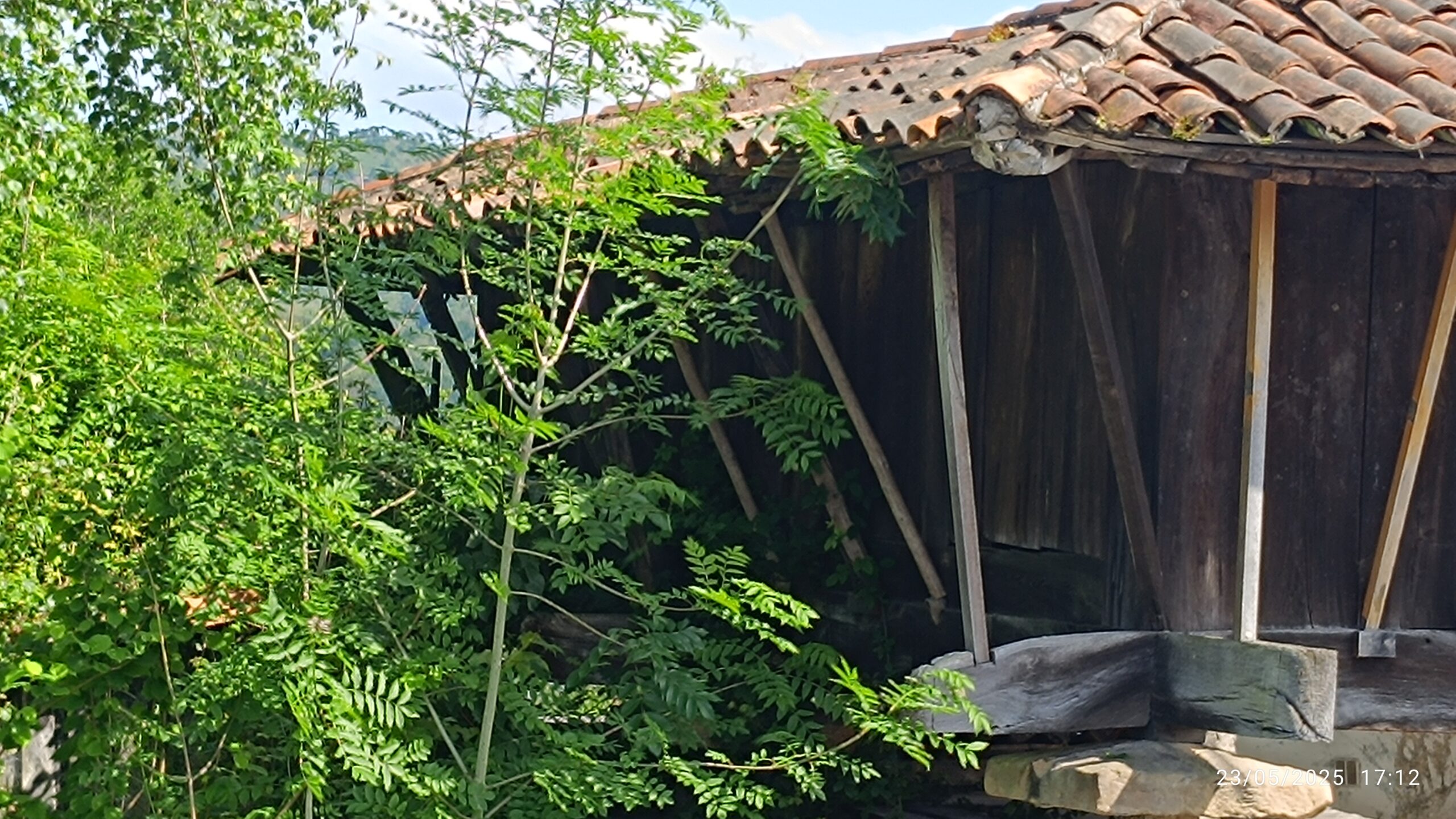 semeya-5-panera.01-Areñes-Siero-23.05.2025