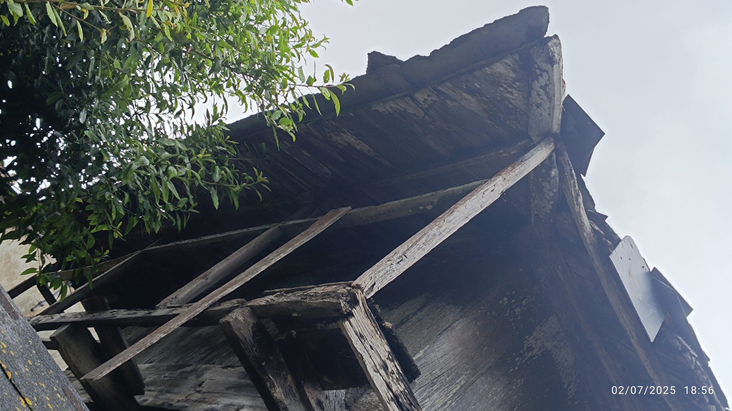 semeya-6-horru.02.Bustu-Valdés-02.07.2025