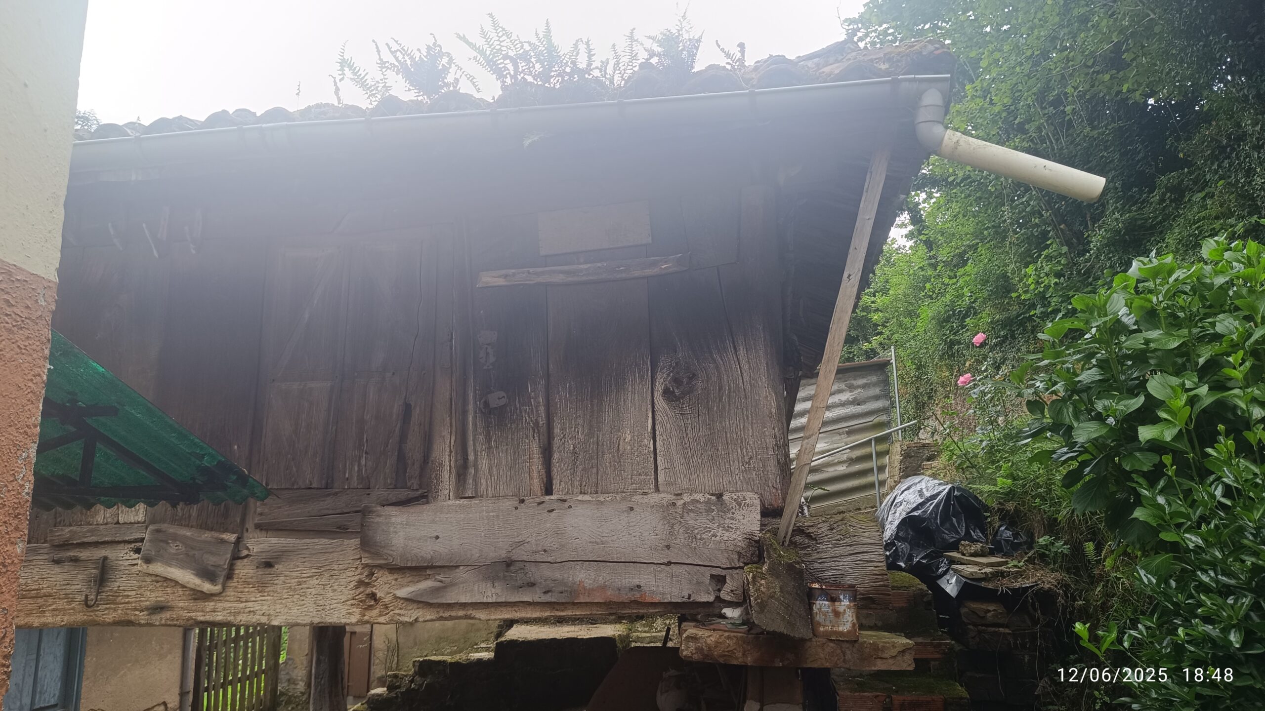 semeya-6-horru.03-Felguera-Riosa-12.06.2025