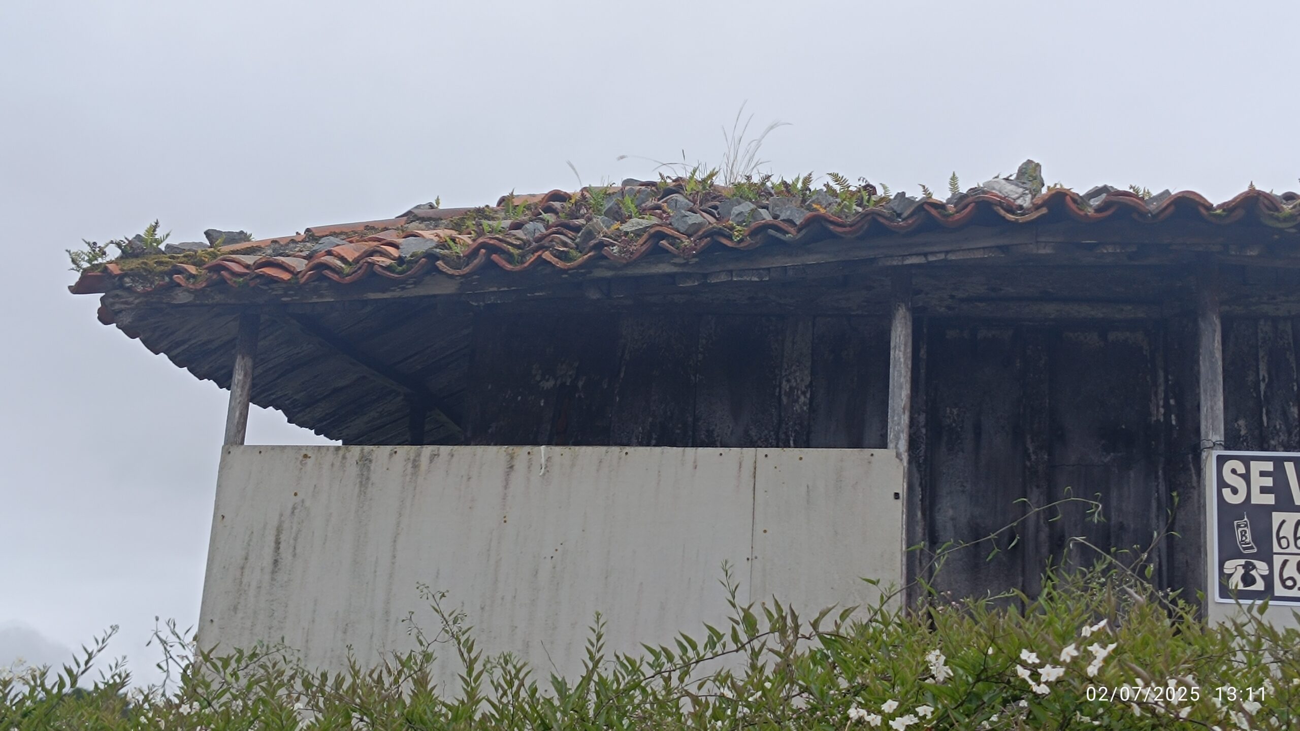 semeya-6-horru.03.Ouviñana-Cuideiru-02.07.2025