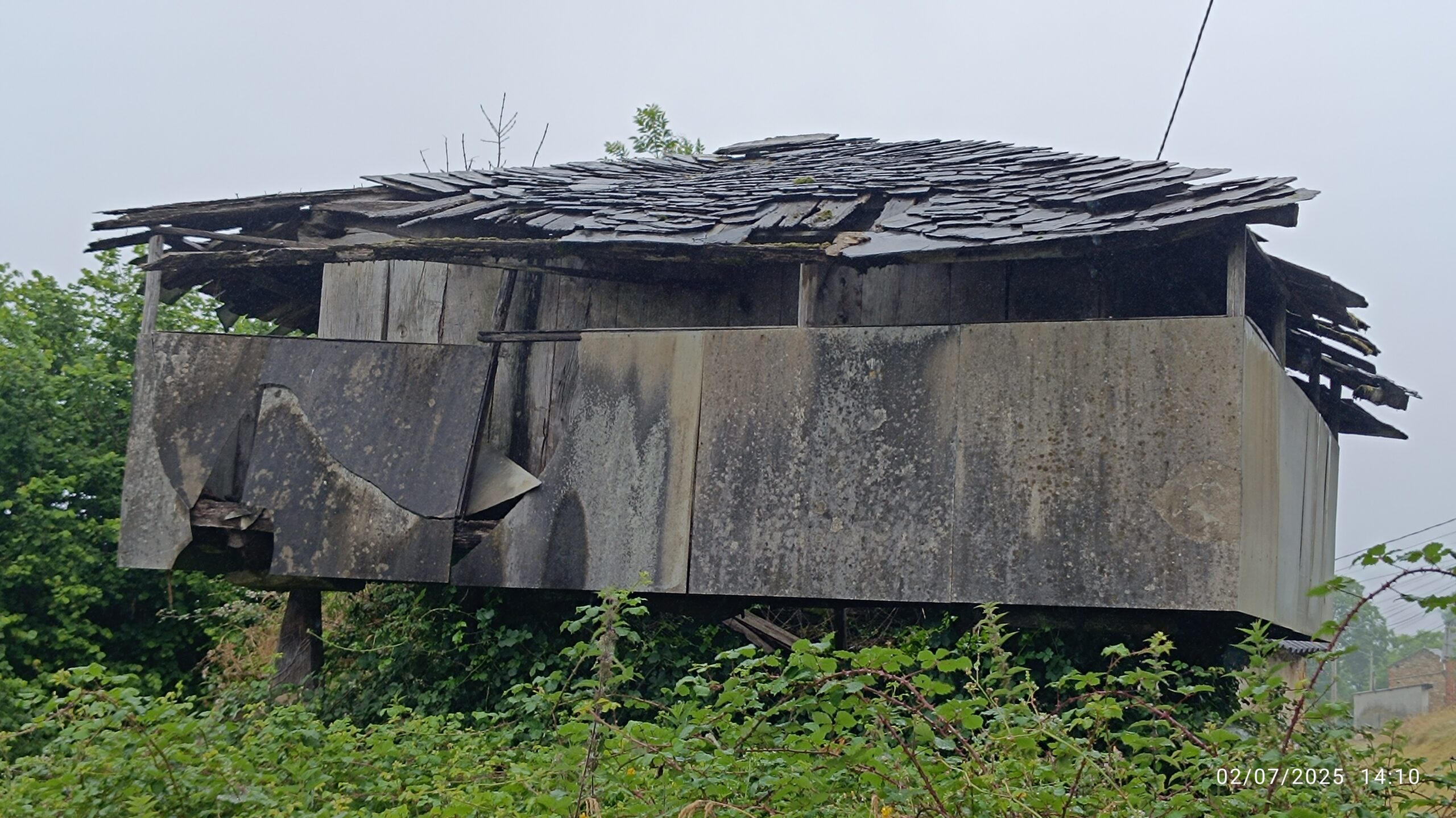 semeya-6-horru.Ayones-Valdés-02.07.2025