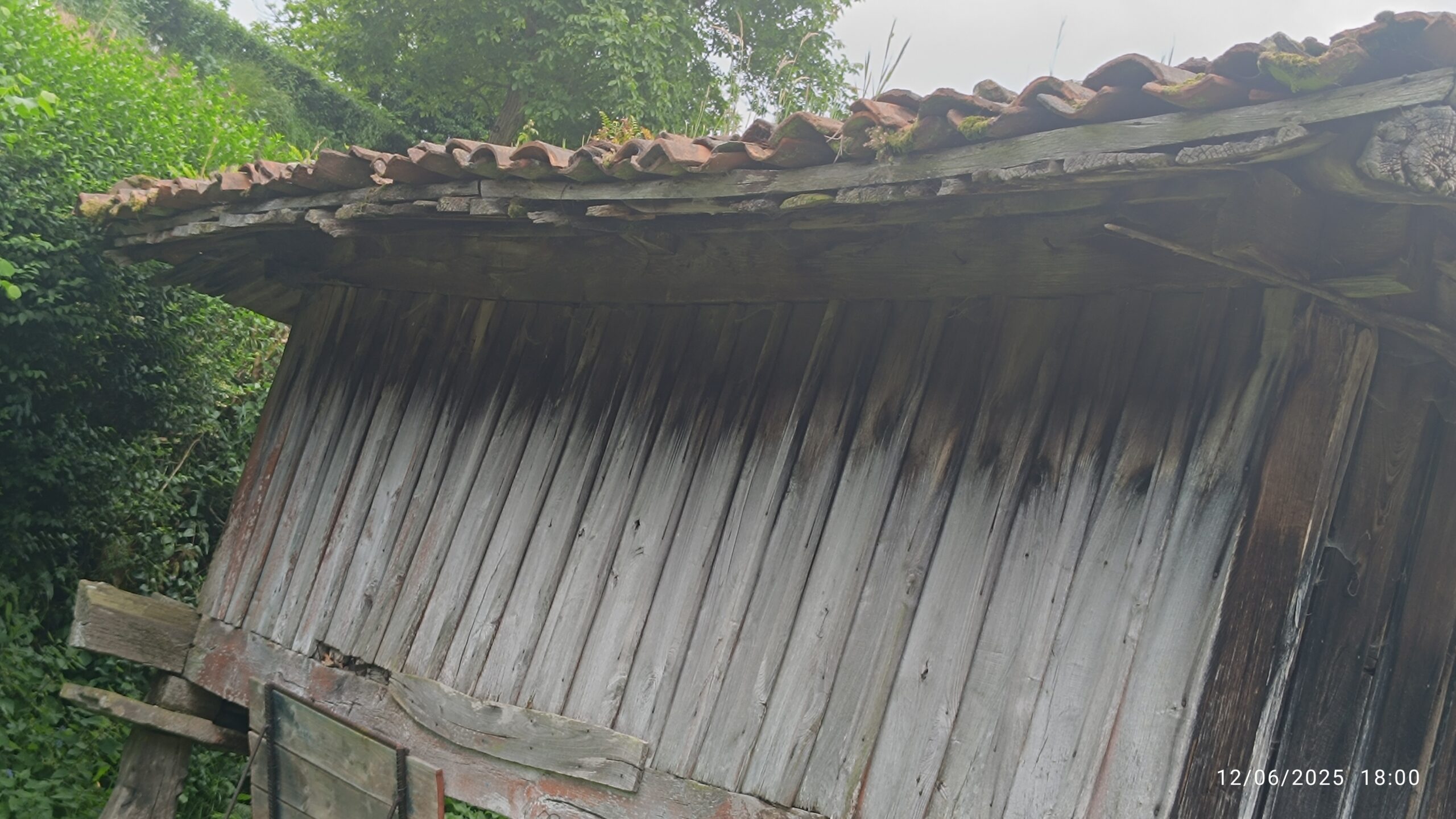 semeya-6-horru.ElCoḷḷéu-Riosa-12.06.2025