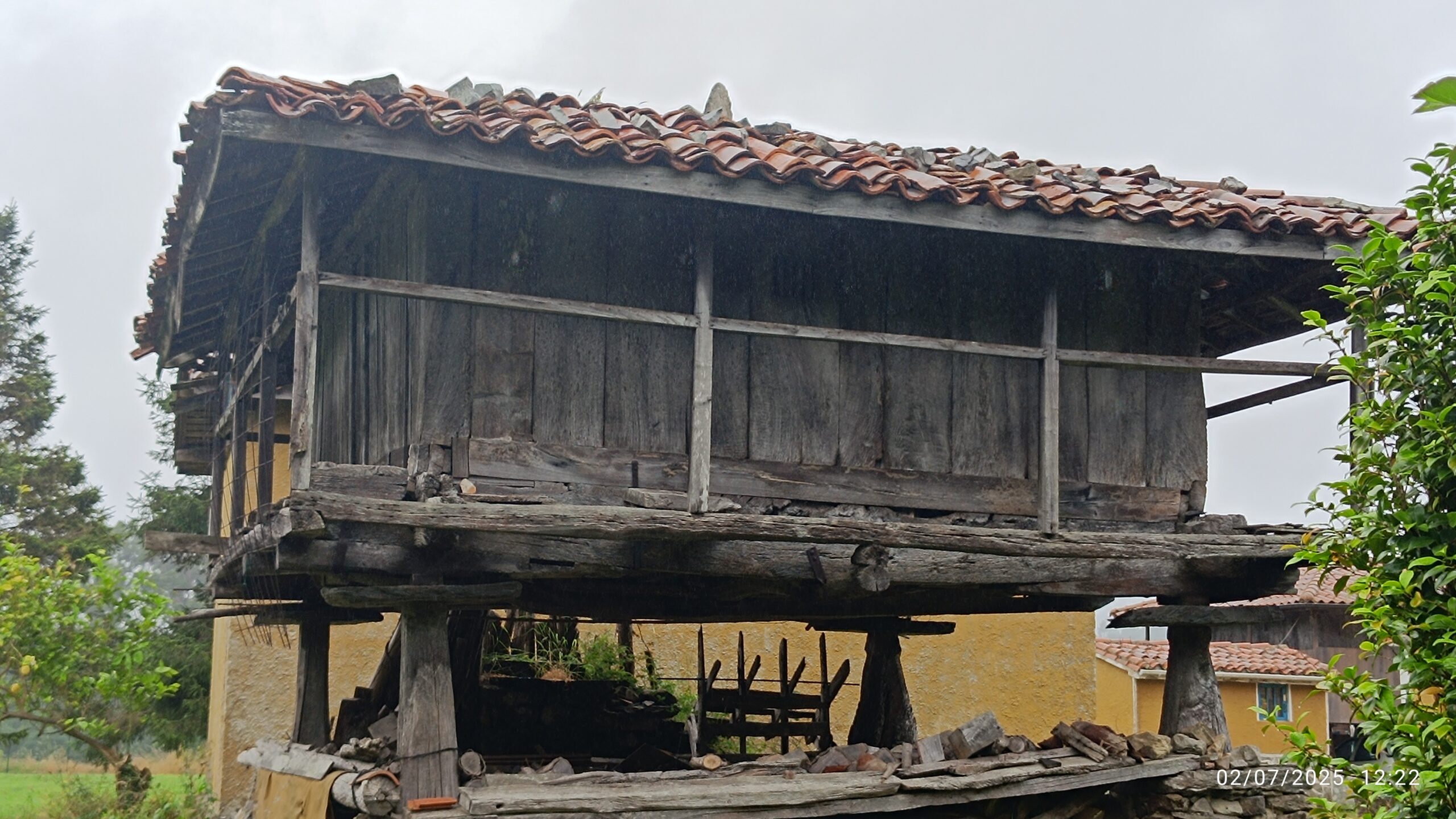 semeya-6-horru.LaTeyera-Cuideiru-02.07.2025