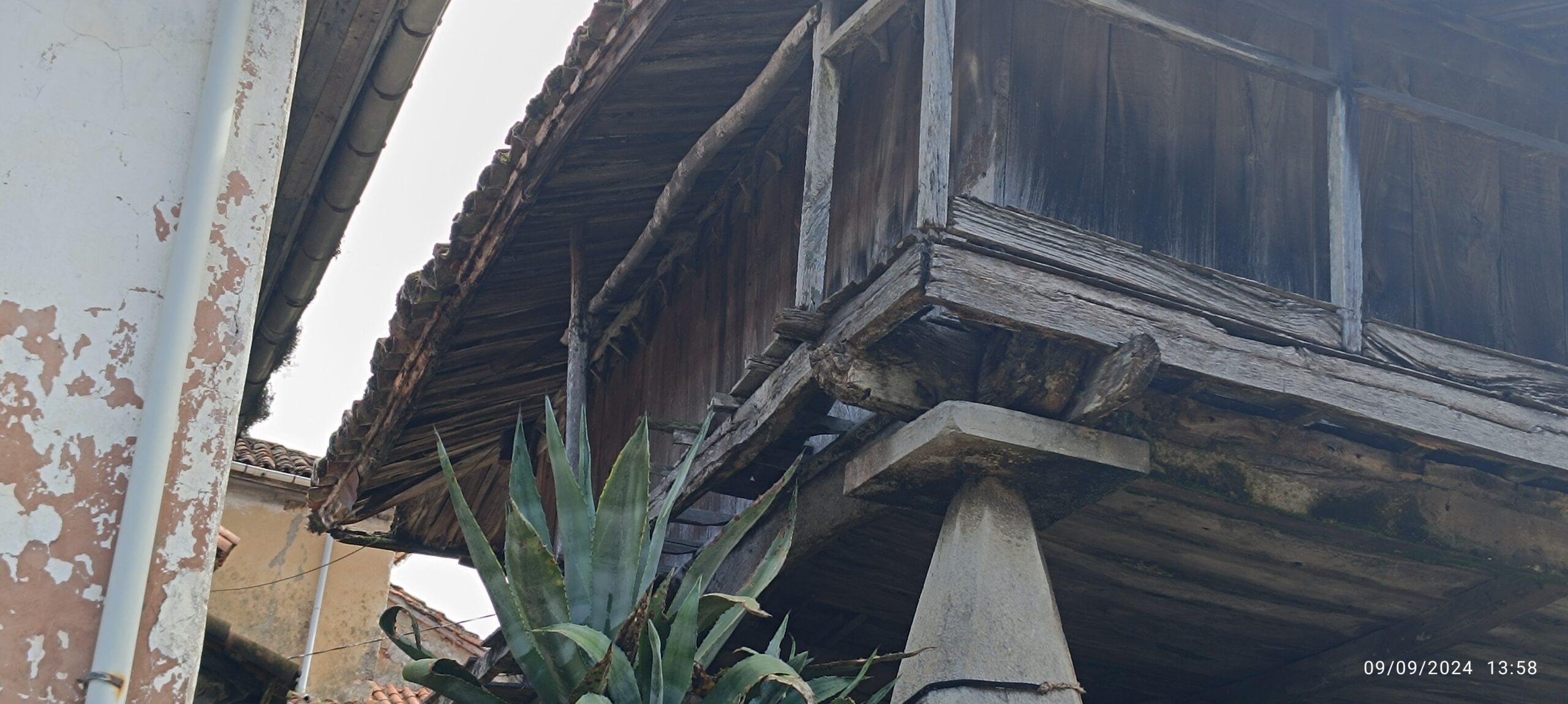 semeya-6-horru.Restiellu-Grau-09.09.2024