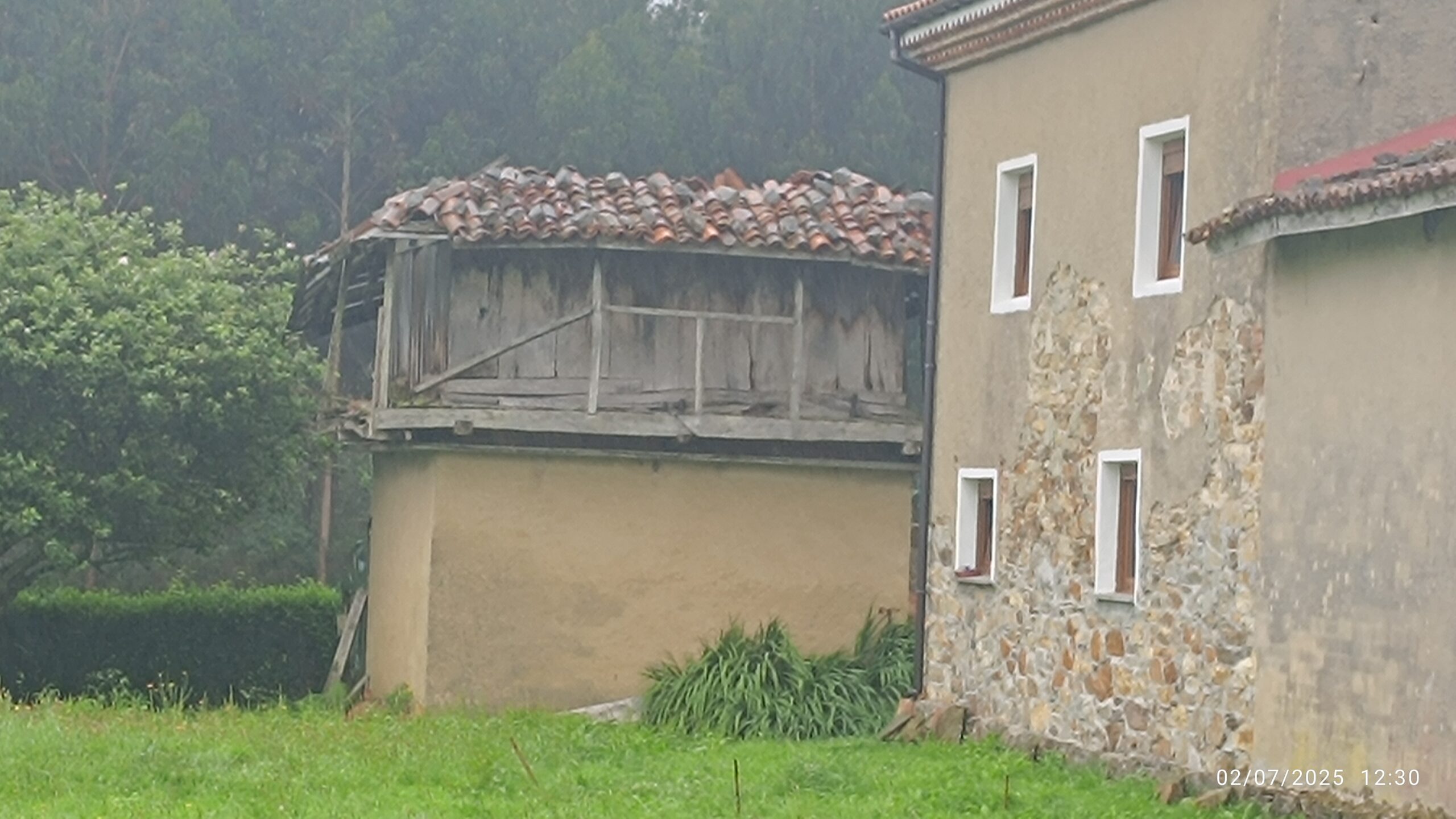 semeya-6-horru.Salamir-Cuideiru-02.07.2025