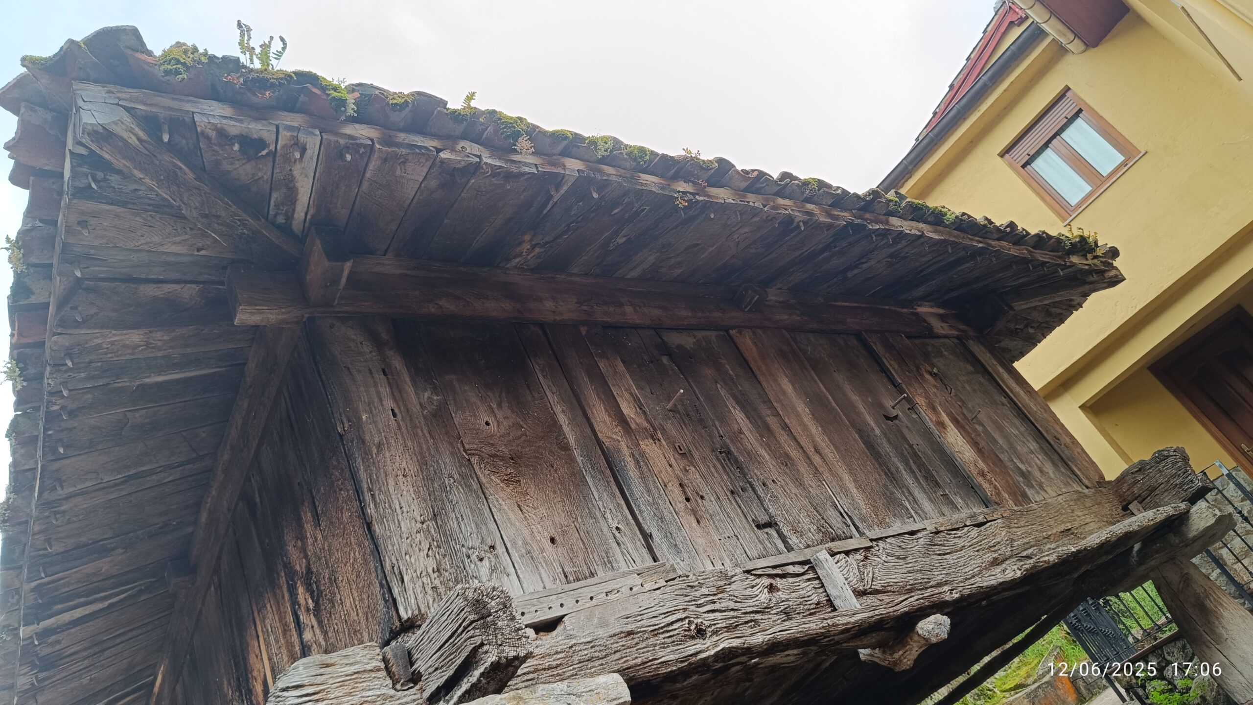 semeya-6-horru.Ḷḷamo-Riosa-12.03.2025