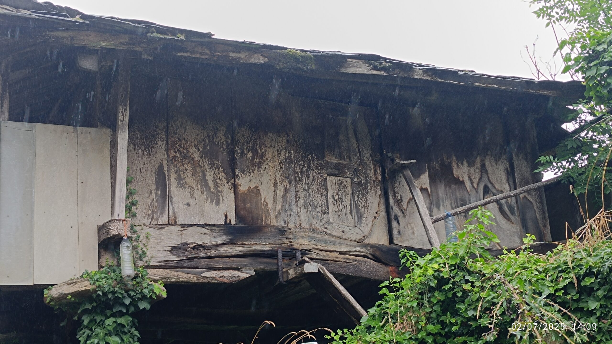 semeya-7-horru.Ayones-Valdés-02.07.2025