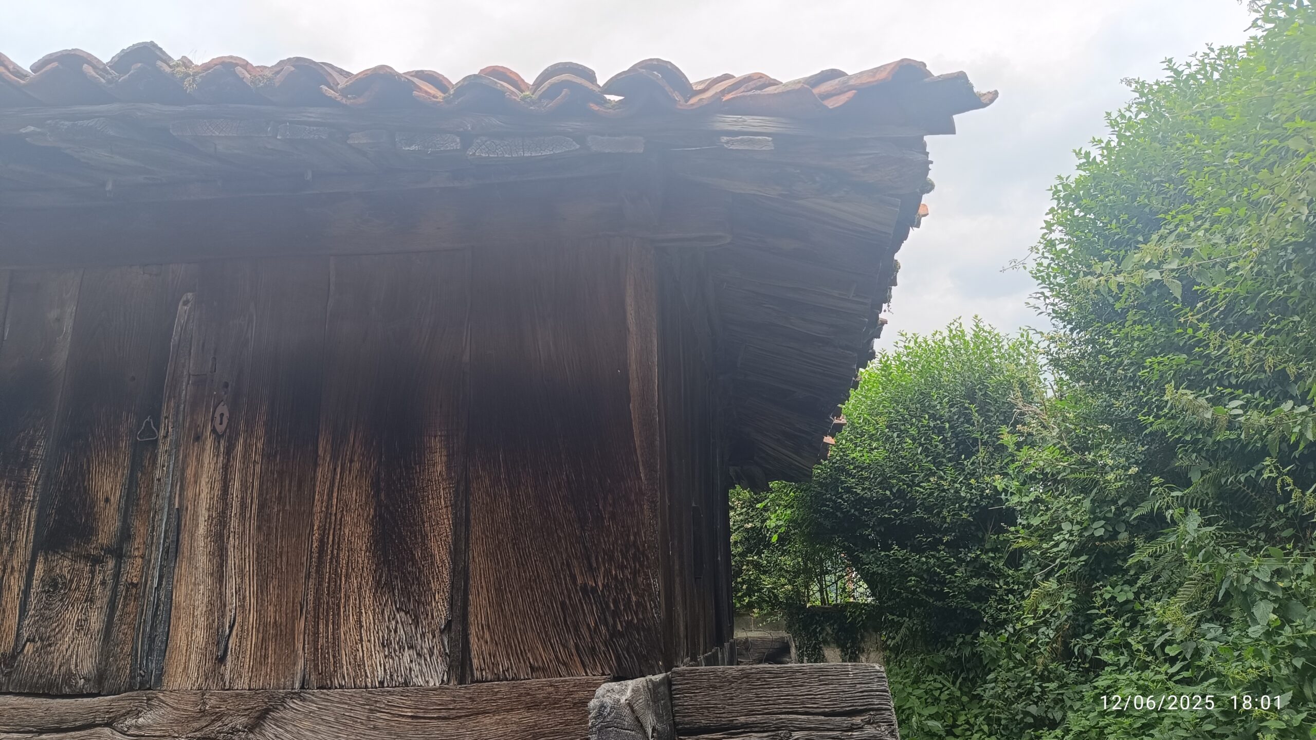 semeya-7-horru.ElCoḷḷéu-Riosa-12.06.2025