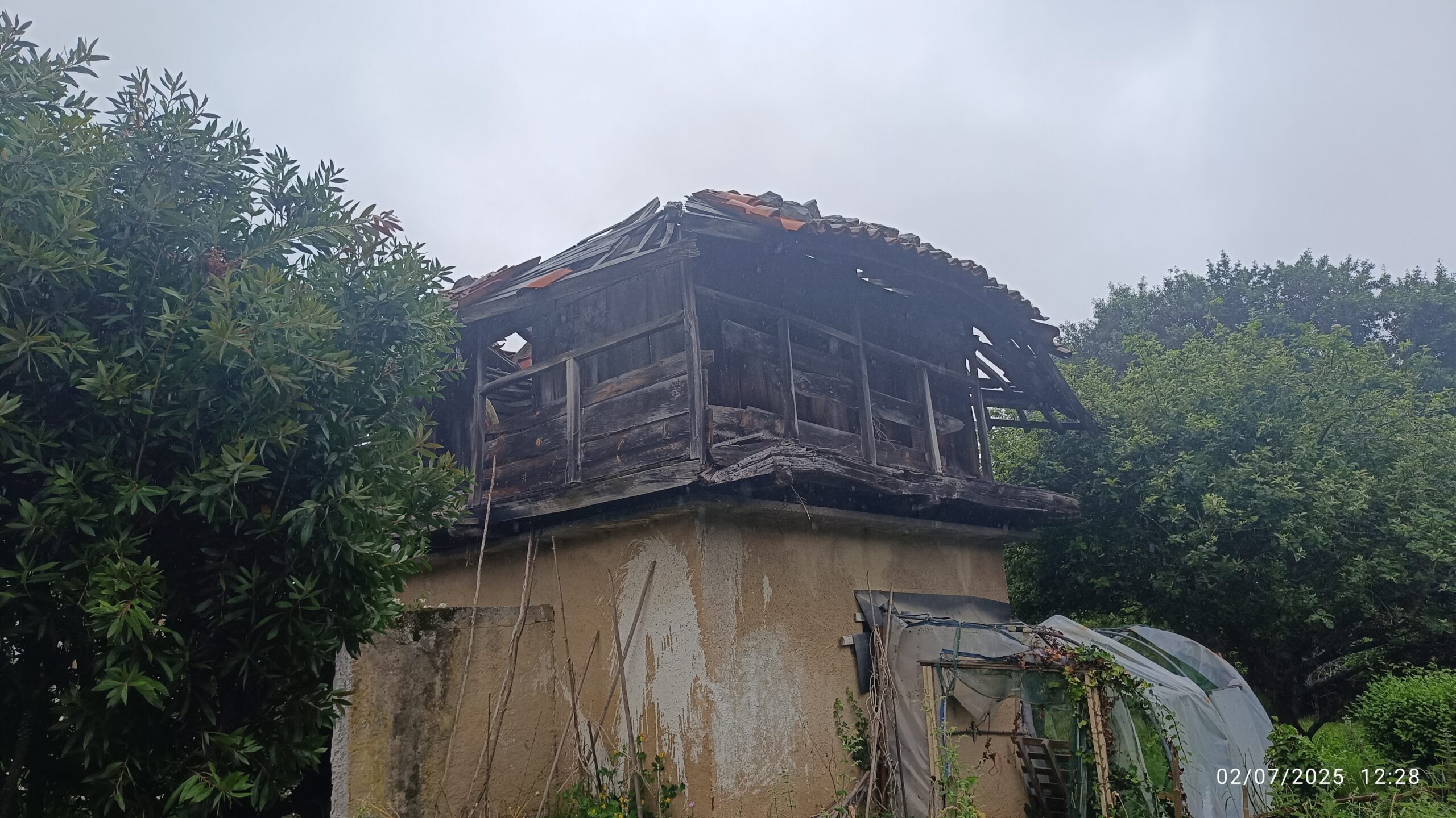 semeya-7-horru.Salamir-Cuideiru-02.07.2025