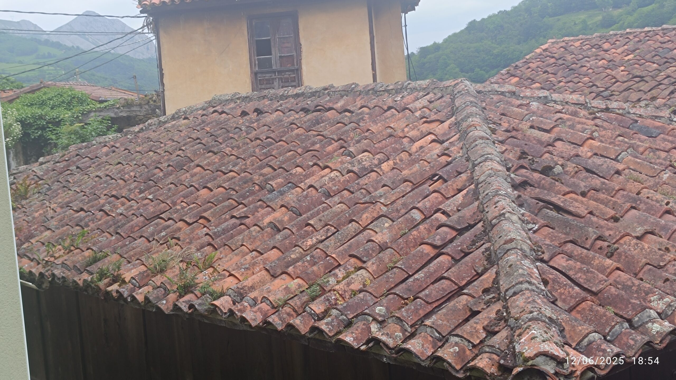 semeya-7-panera.01.Felguera-Riosa-12.06.2025