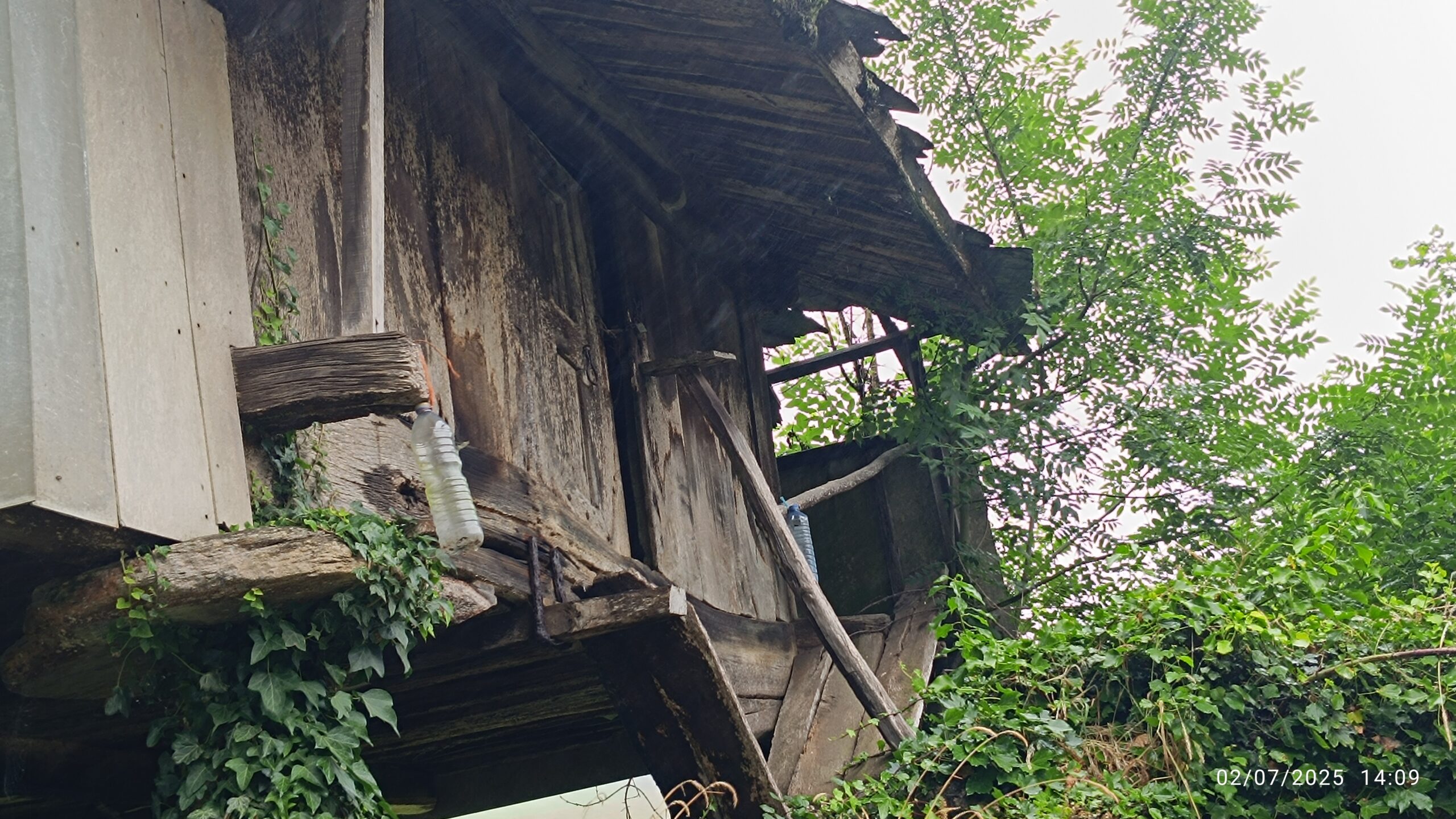 semeya-8-horru.Ayones-Valdés-02.07.2025