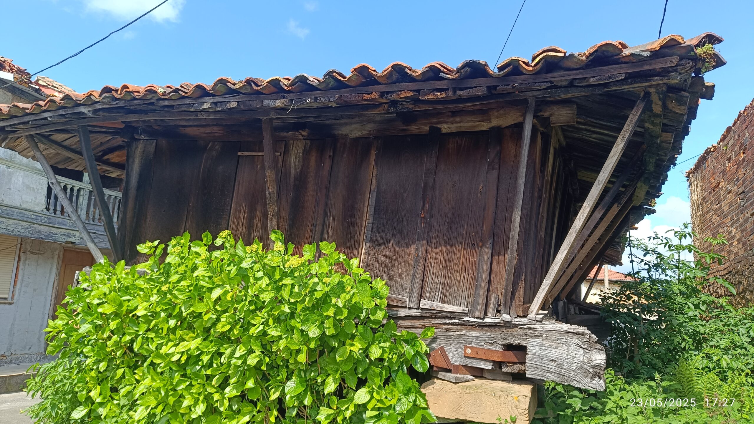 semeya-9-panera.05.Areñes-Siero-23.05.2025