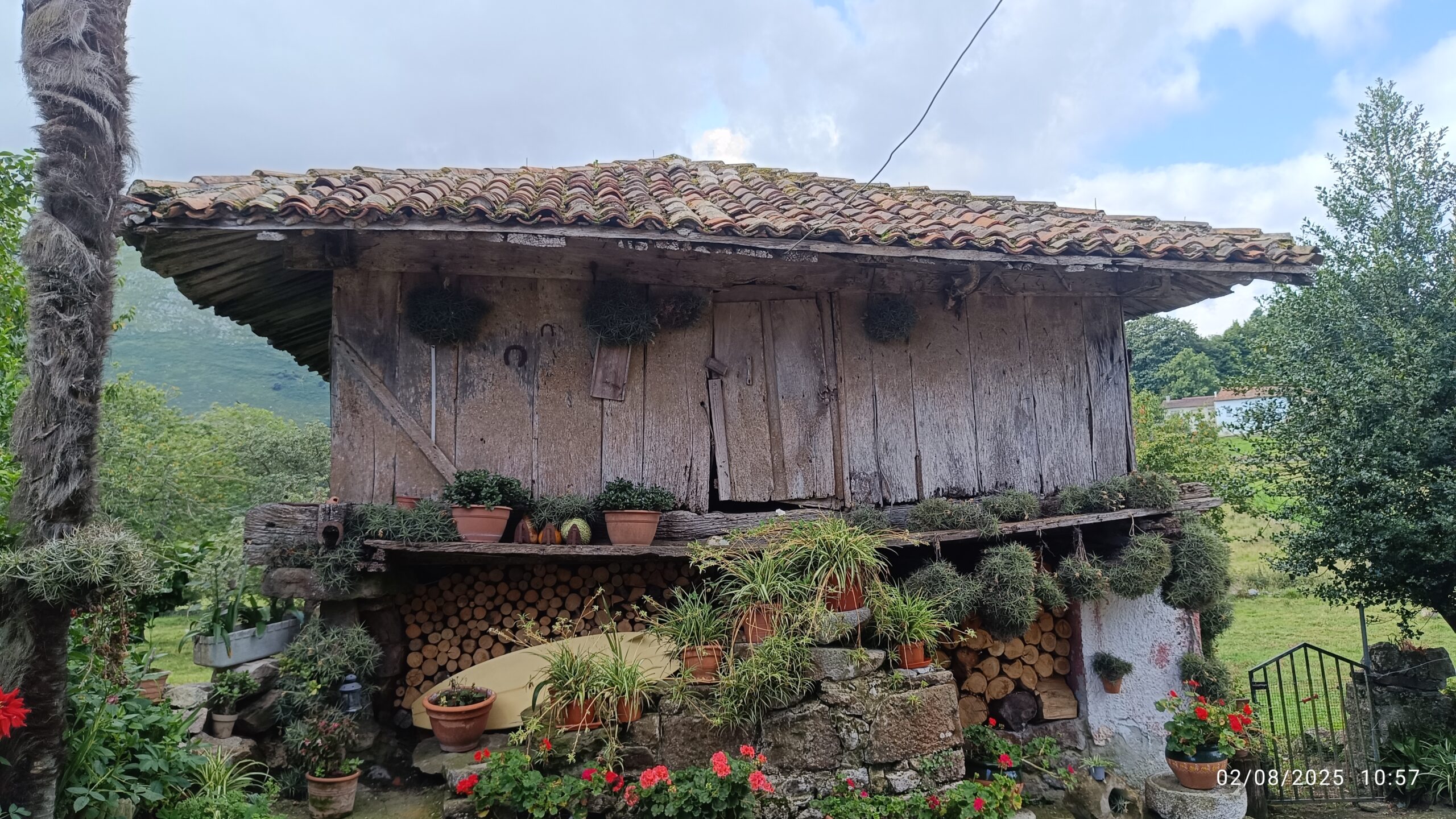 semeya-02.08.2025-4-horru.02.Turancias-Llanes-