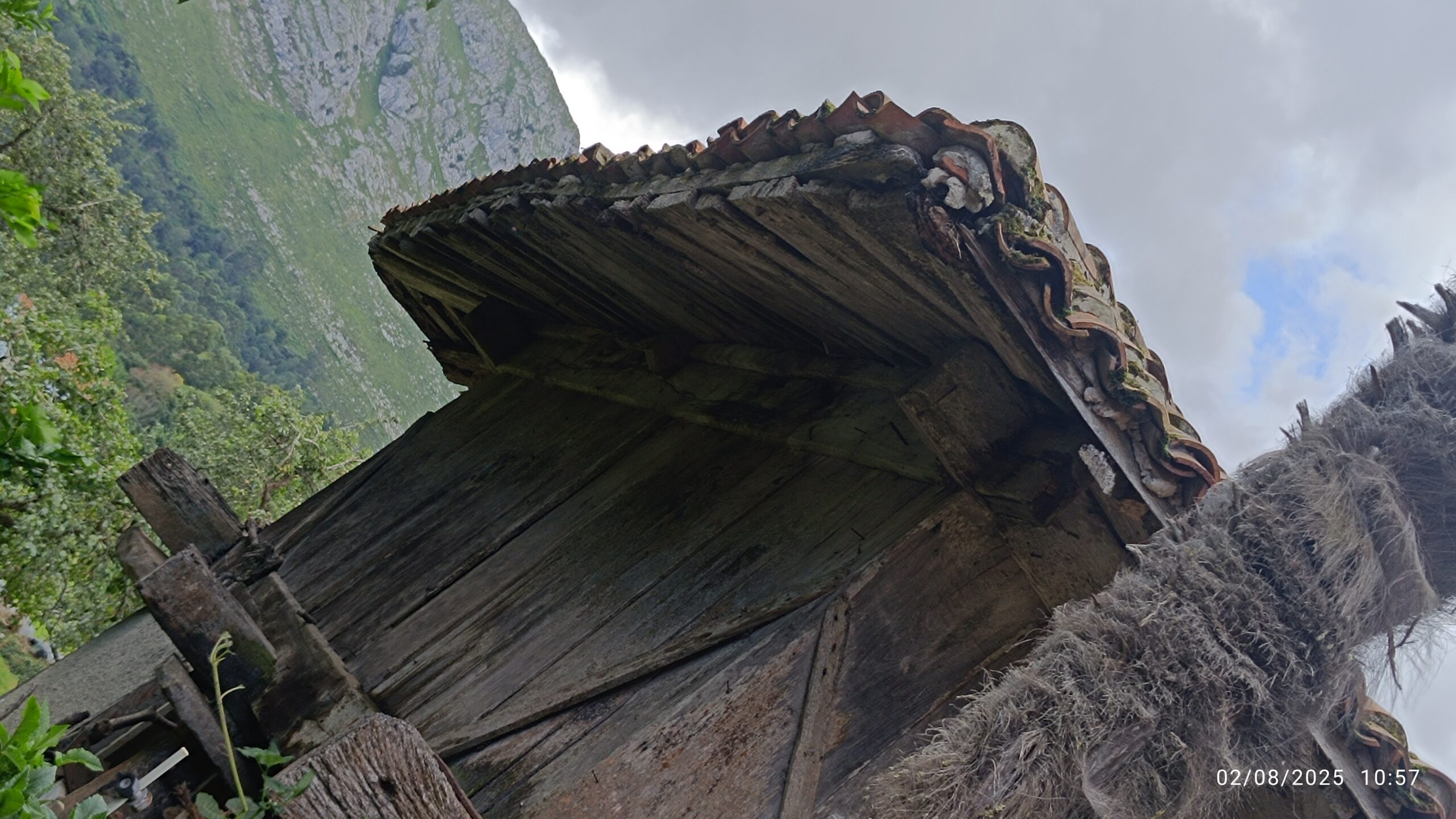 semeya-02.08.2025-5-horru.02.Turancias-Llanes-