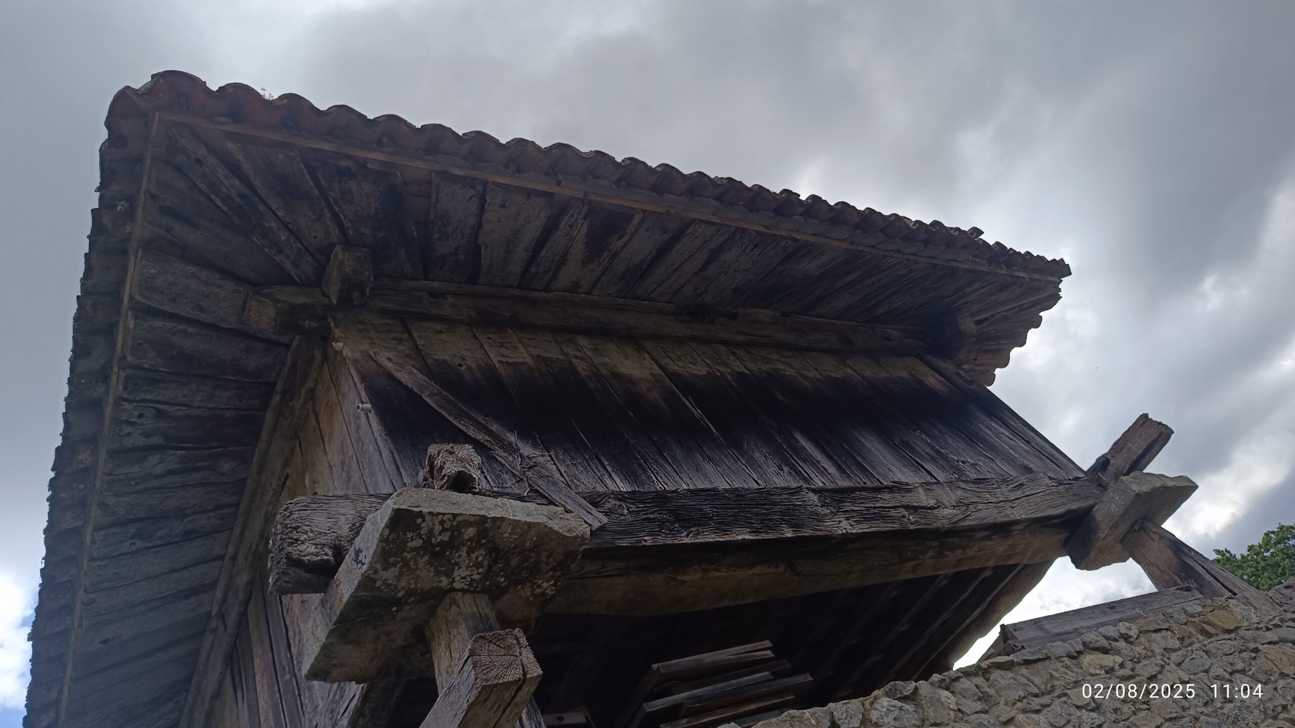 semeya-02.08.2025-5-horru.03.Turancias-Llanes-