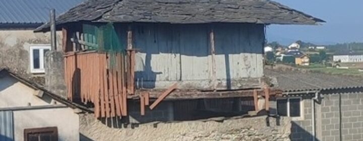 semeya-04.08.2025-3-horru.Santamarina-Navia-400×400