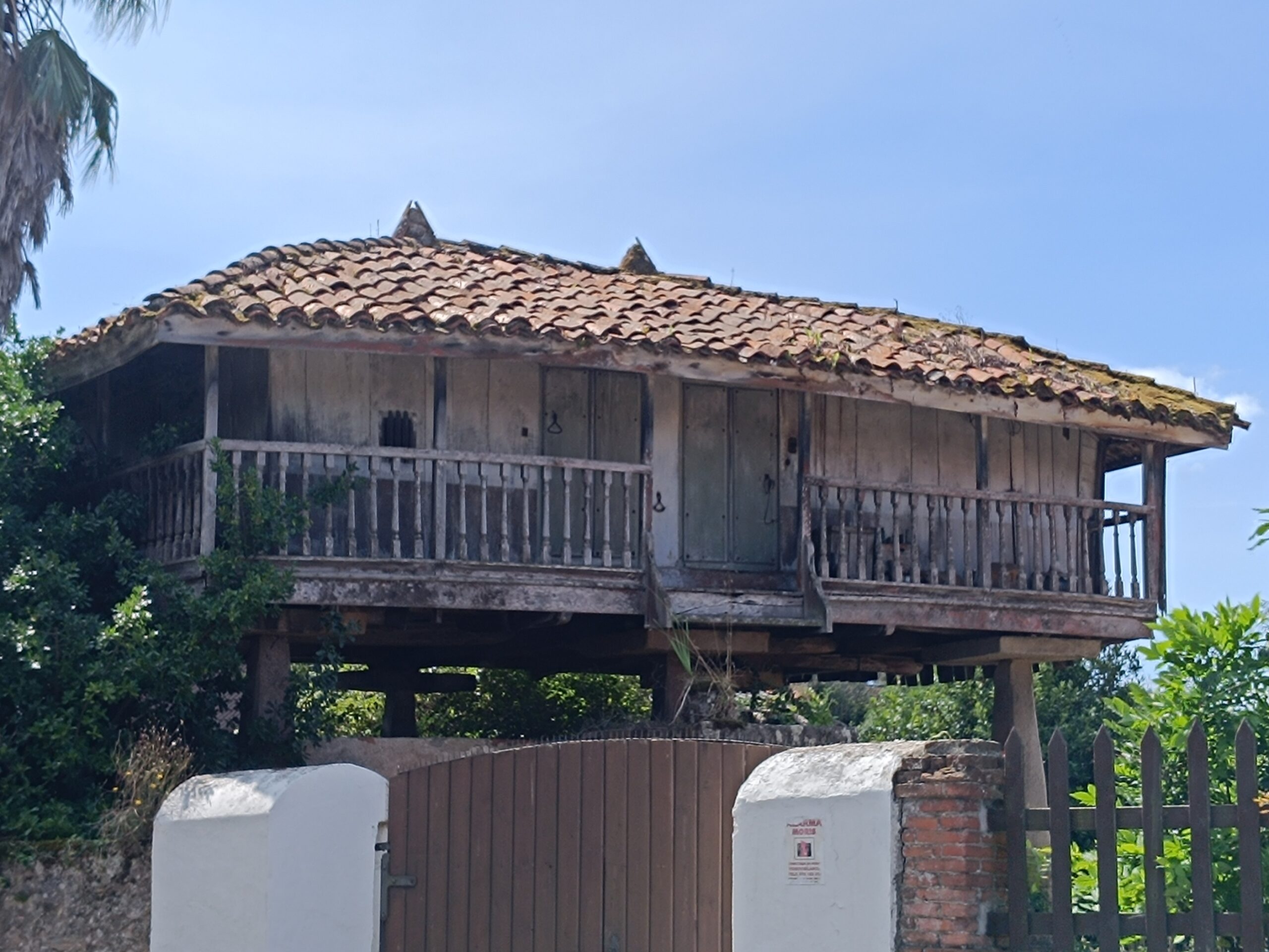 semeya-04.09.2025-3-panera.LaPedrera-Xixón-2800×2100