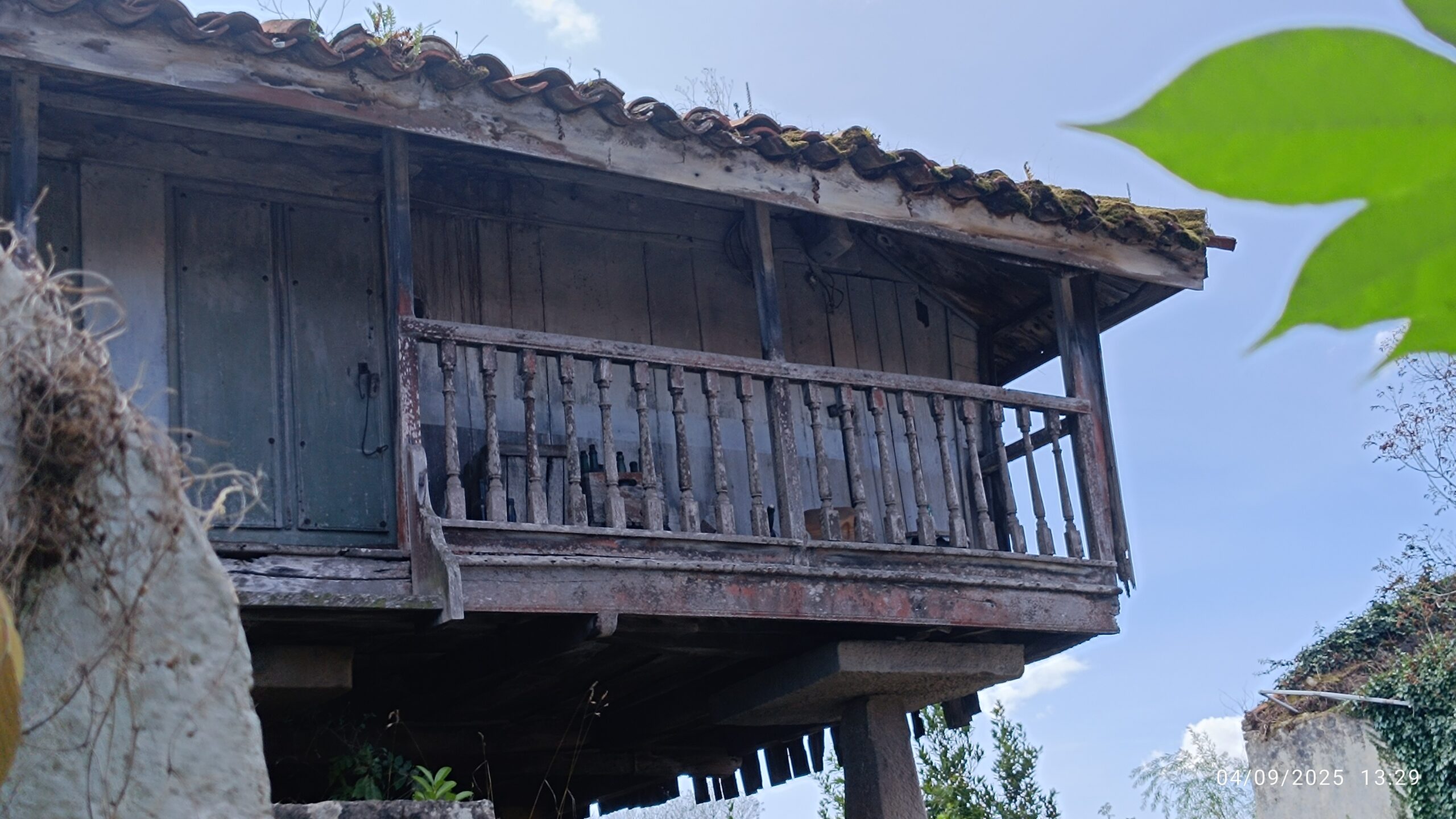 semeya-04.09.2025-4-panera.LaPedrera-Xixón-