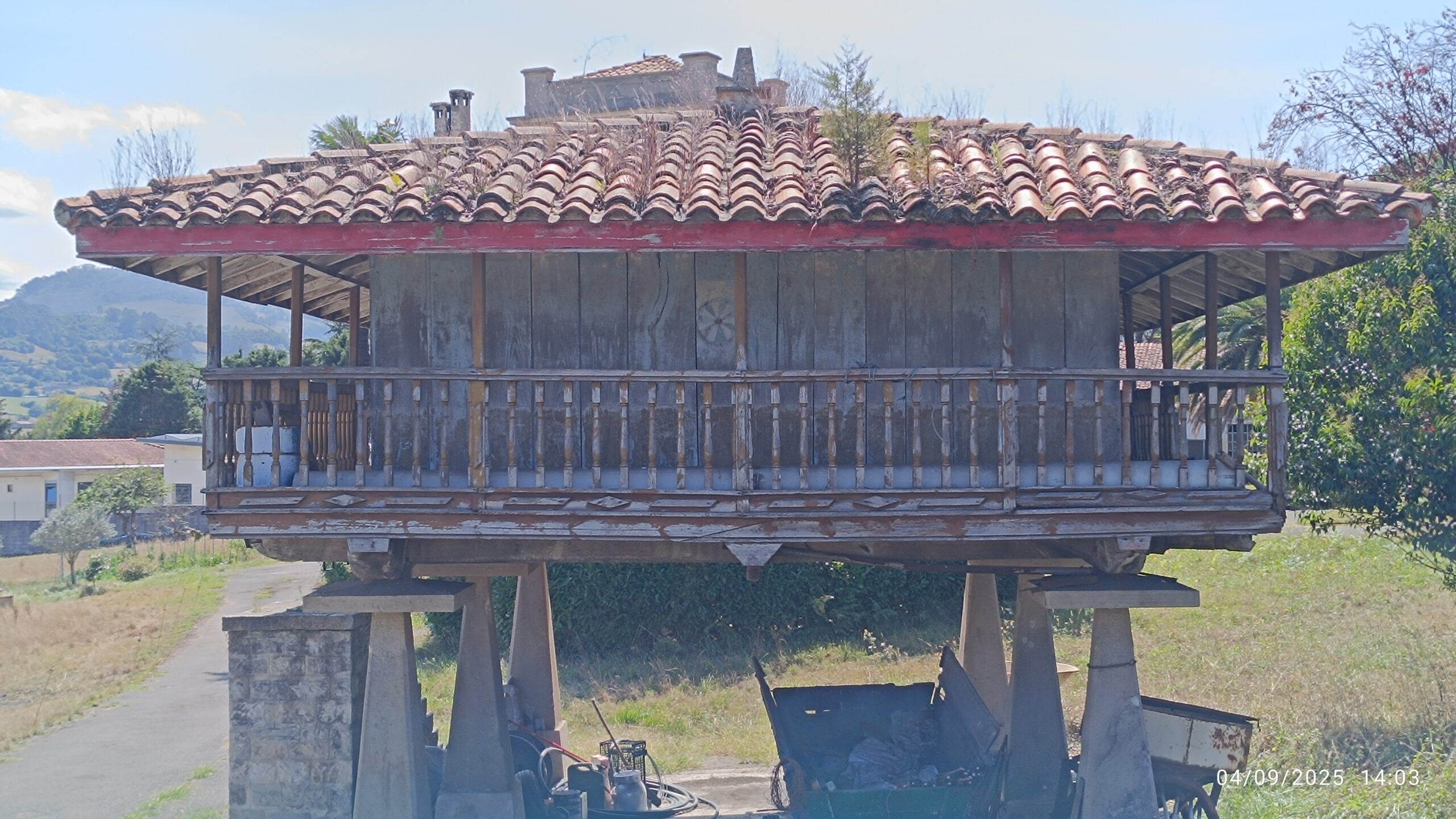 semeya-04.09.2025-5-panera.GandadeBaxo-Xixón-