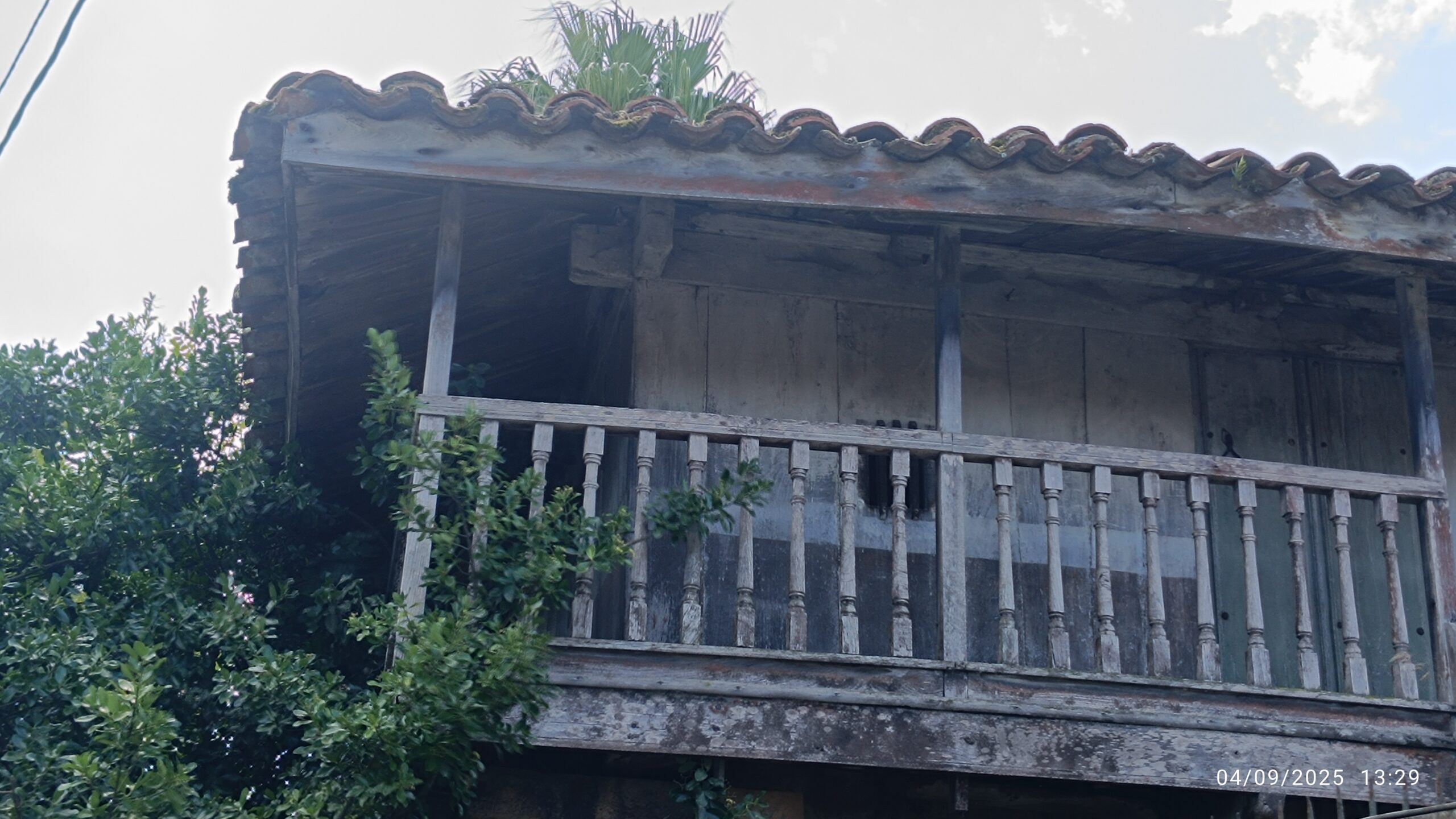 semeya-04.09.2025-5-panera.LaPedrera-Xixón-