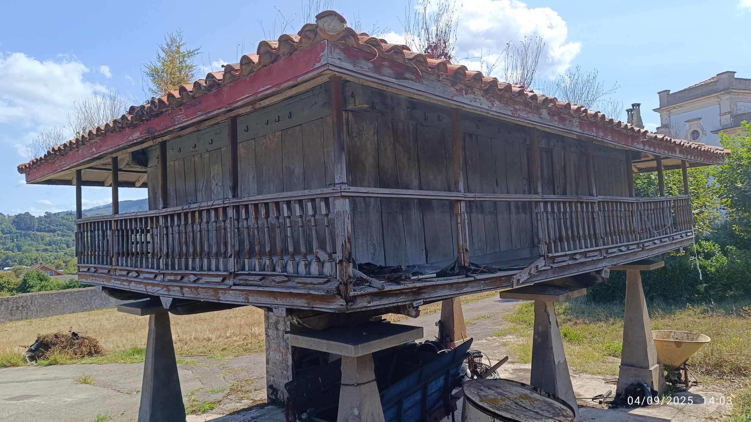 semeya-04.09.2025-6-panera.GandadeBaxo-Xixón-