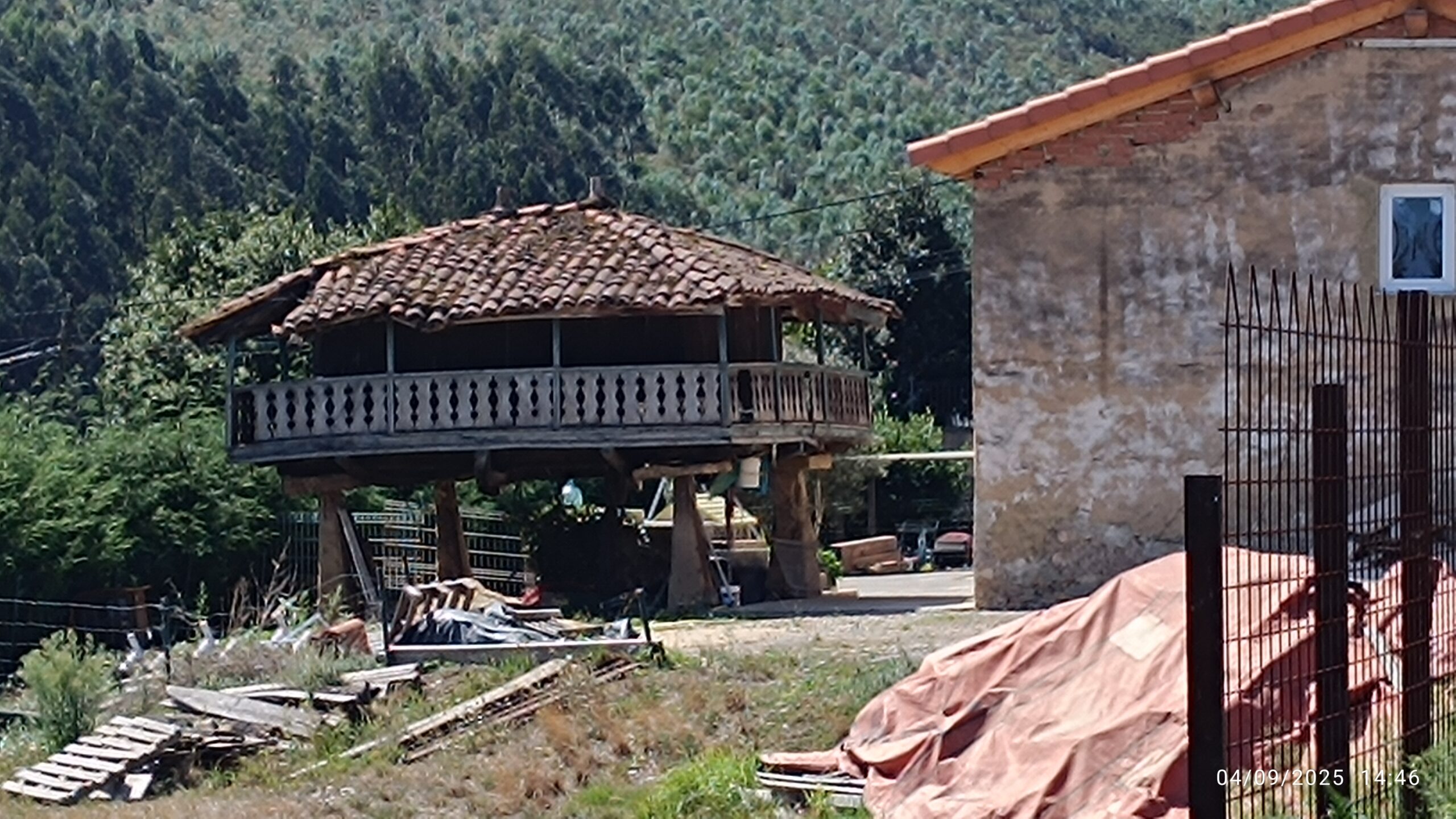 semeya-04.09.2025-6-panera.Pavierna-Puao-Xixón-