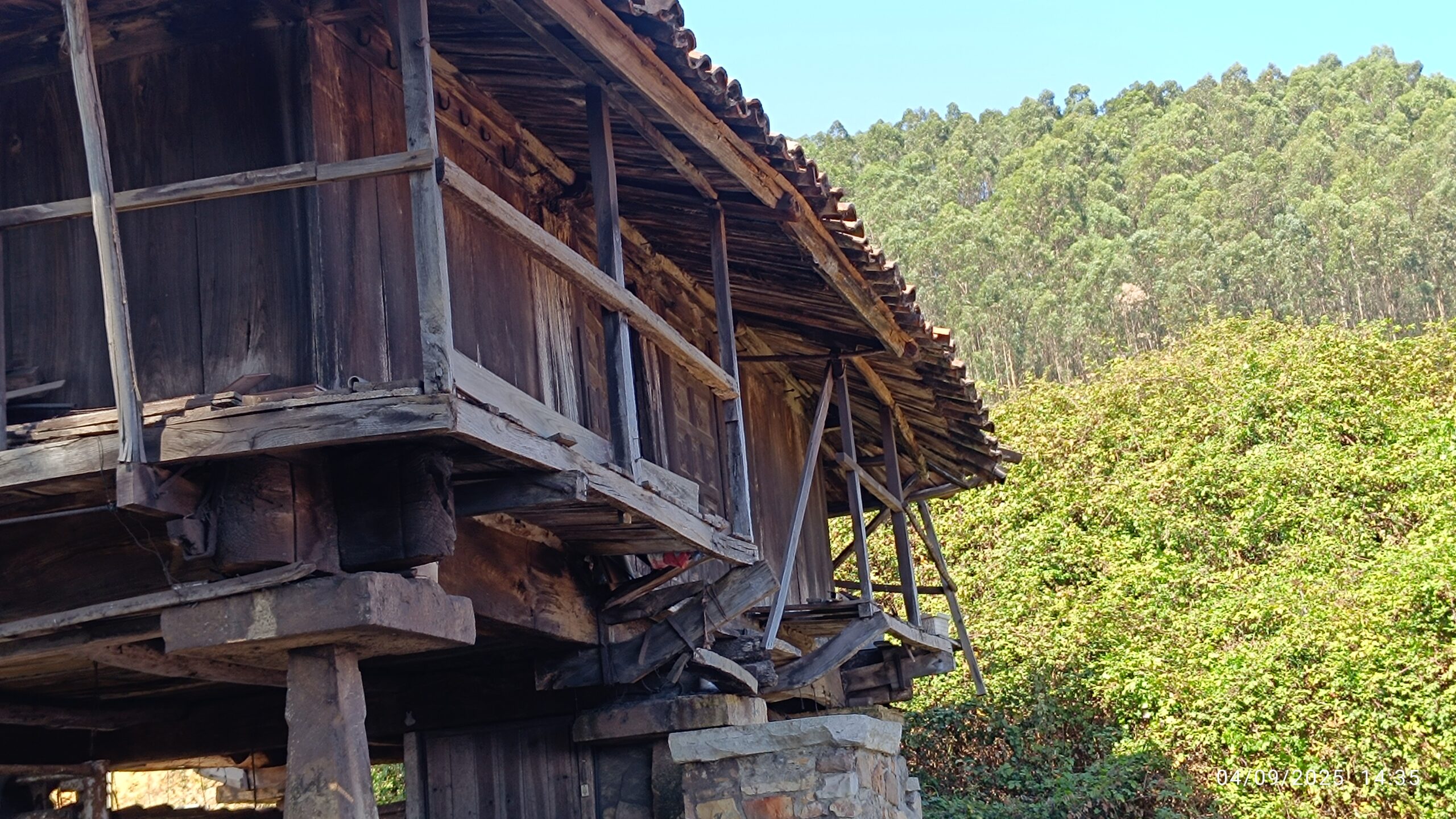 semeya-04.09.2025-6-panera.Zarracina-Puao-Xixón-