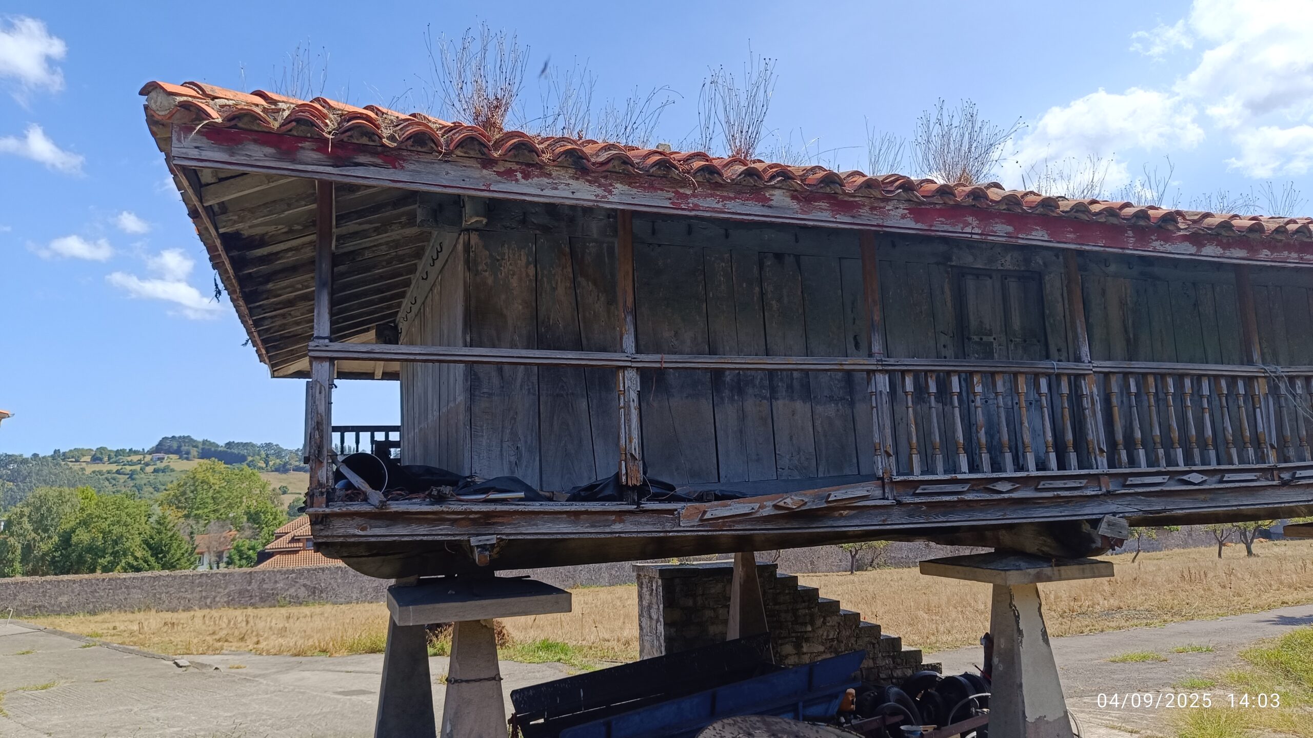 semeya-04.09.2025-7-panera.GandadeBaxo-Xixón-