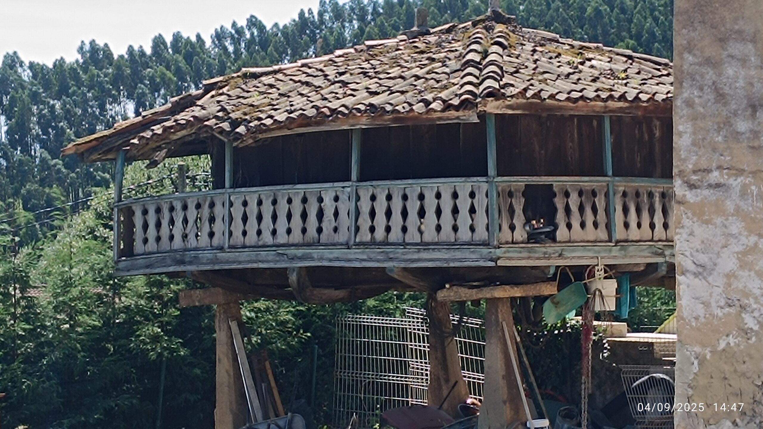 semeya-04.09.2025-7-panera.Pavierna-Puao-Xixón-