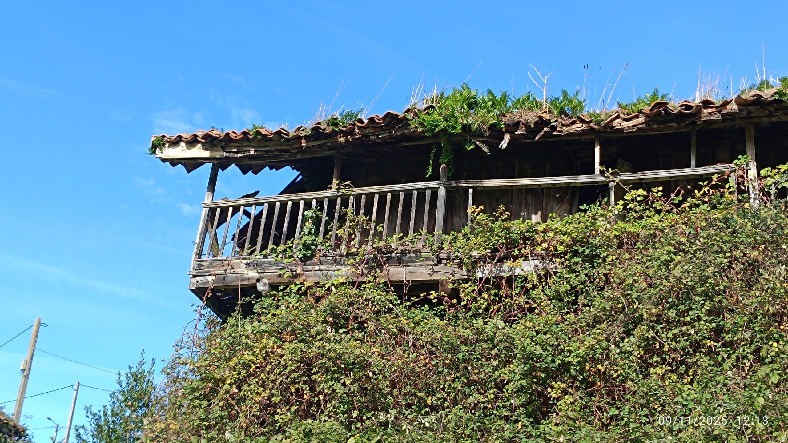 semeya-09.11.2025-4-panera.01.CasaBusto.Castiello-Llorgozana-Carreño-